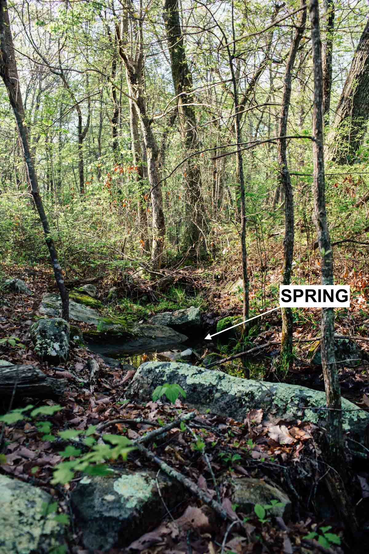 Plum Nelly Farm property picture 3 of 45