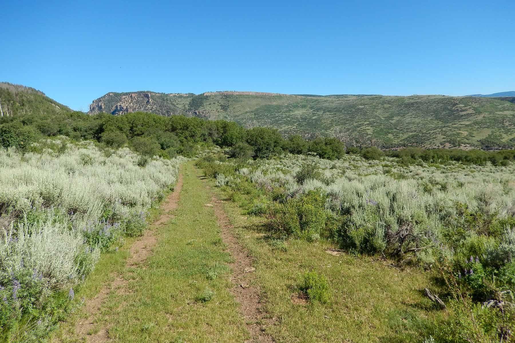 Deep Creek Wilderness Ranch property picture 21 of 24