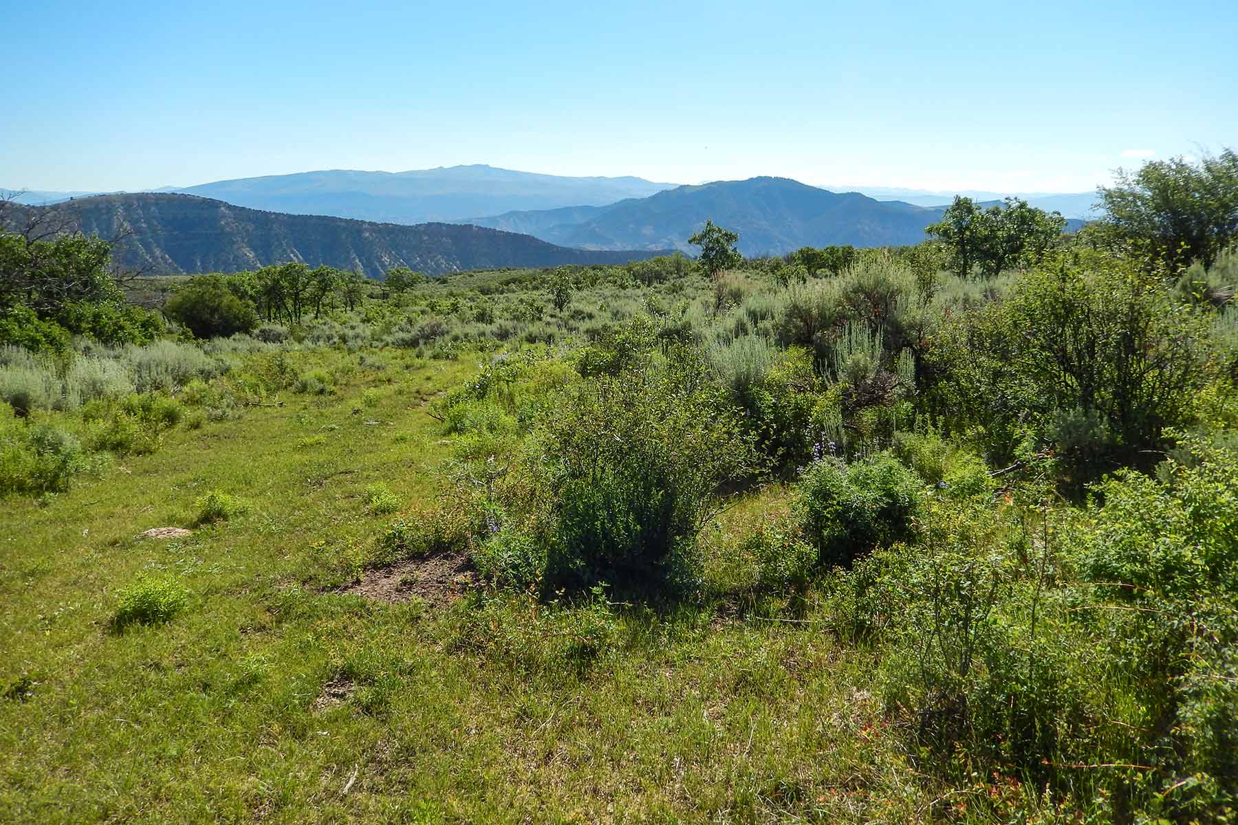 Deep Creek Wilderness Ranch property picture 22 of 24