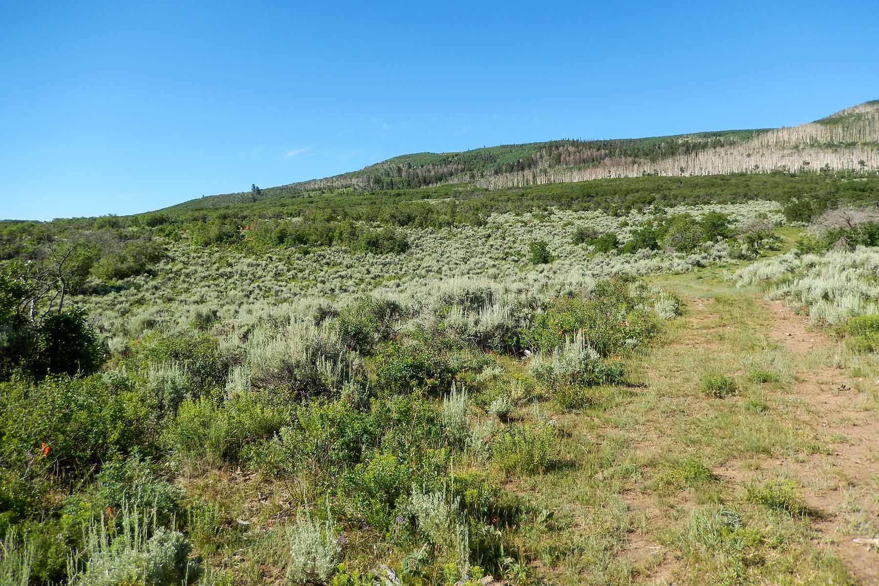 Deep Creek Wilderness Ranch property picture 23 of 24