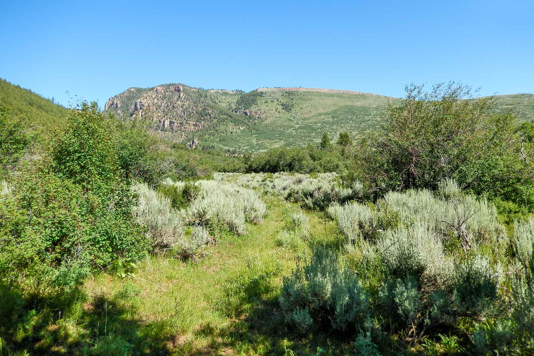 Deep Creek Wilderness Ranch property picture 16 of 24