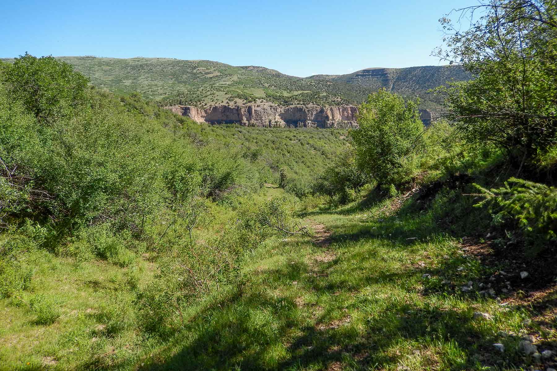 Deep Creek Wilderness Ranch property picture 11 of 24