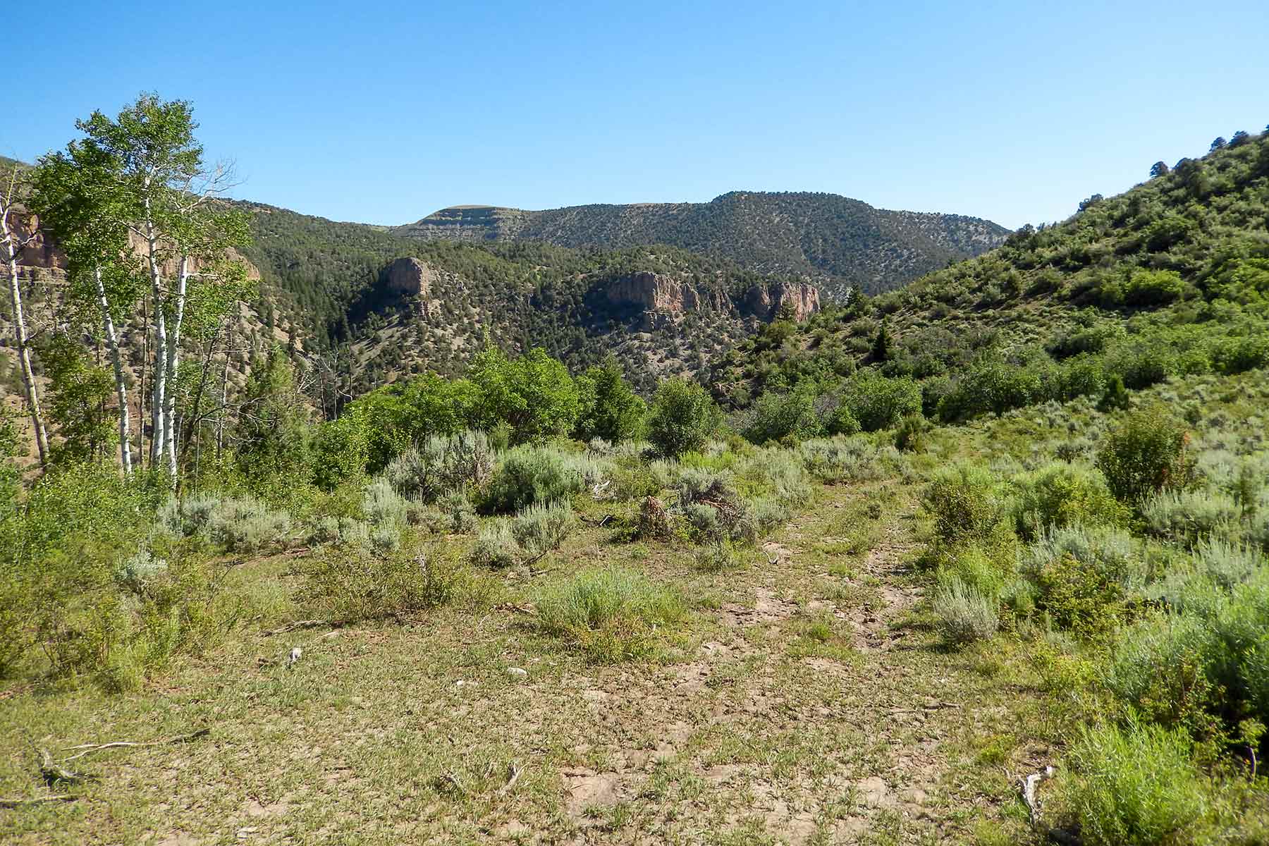 Deep Creek Wilderness Ranch property picture 12 of 24