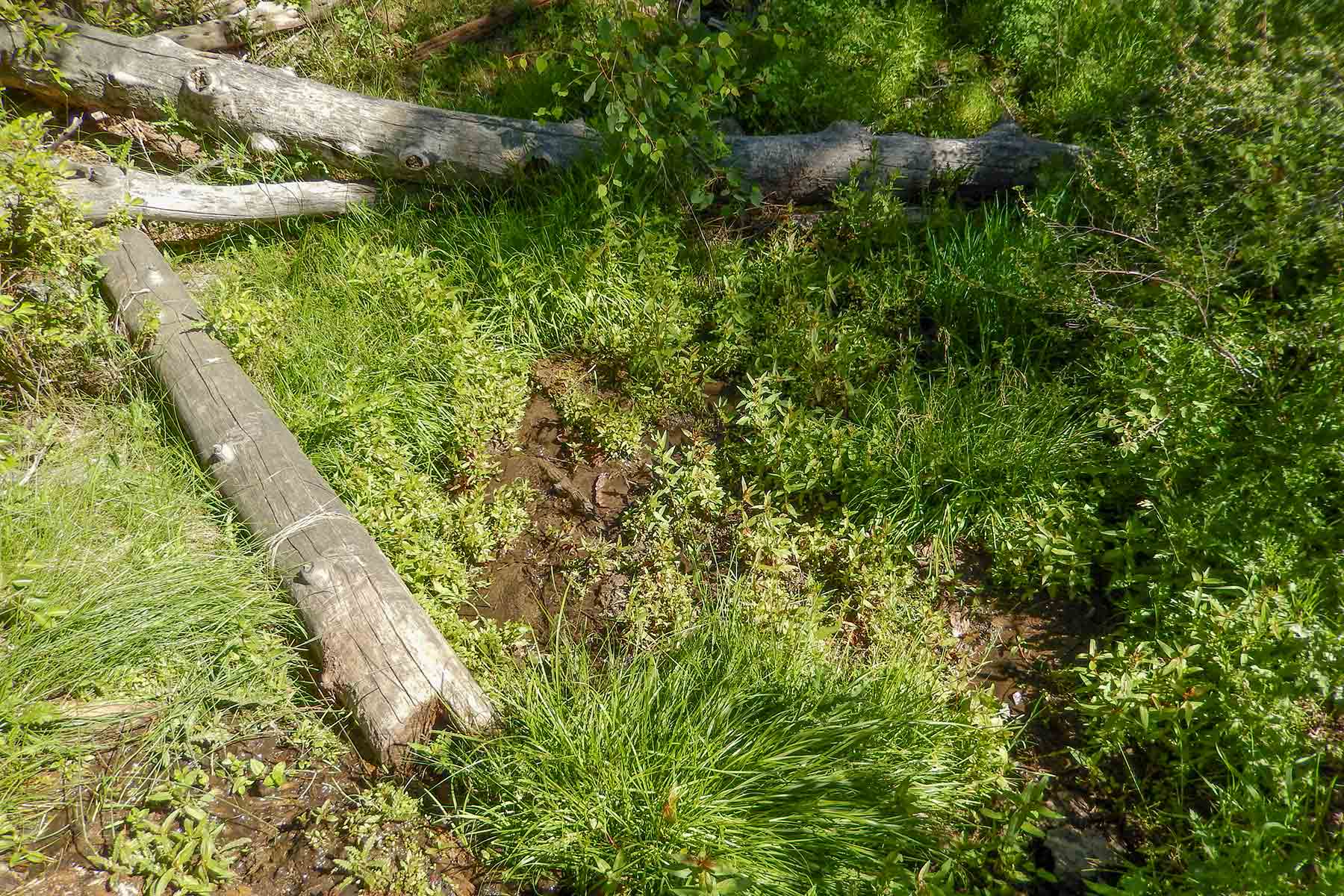 Deep Creek Wilderness Ranch property picture 13 of 24