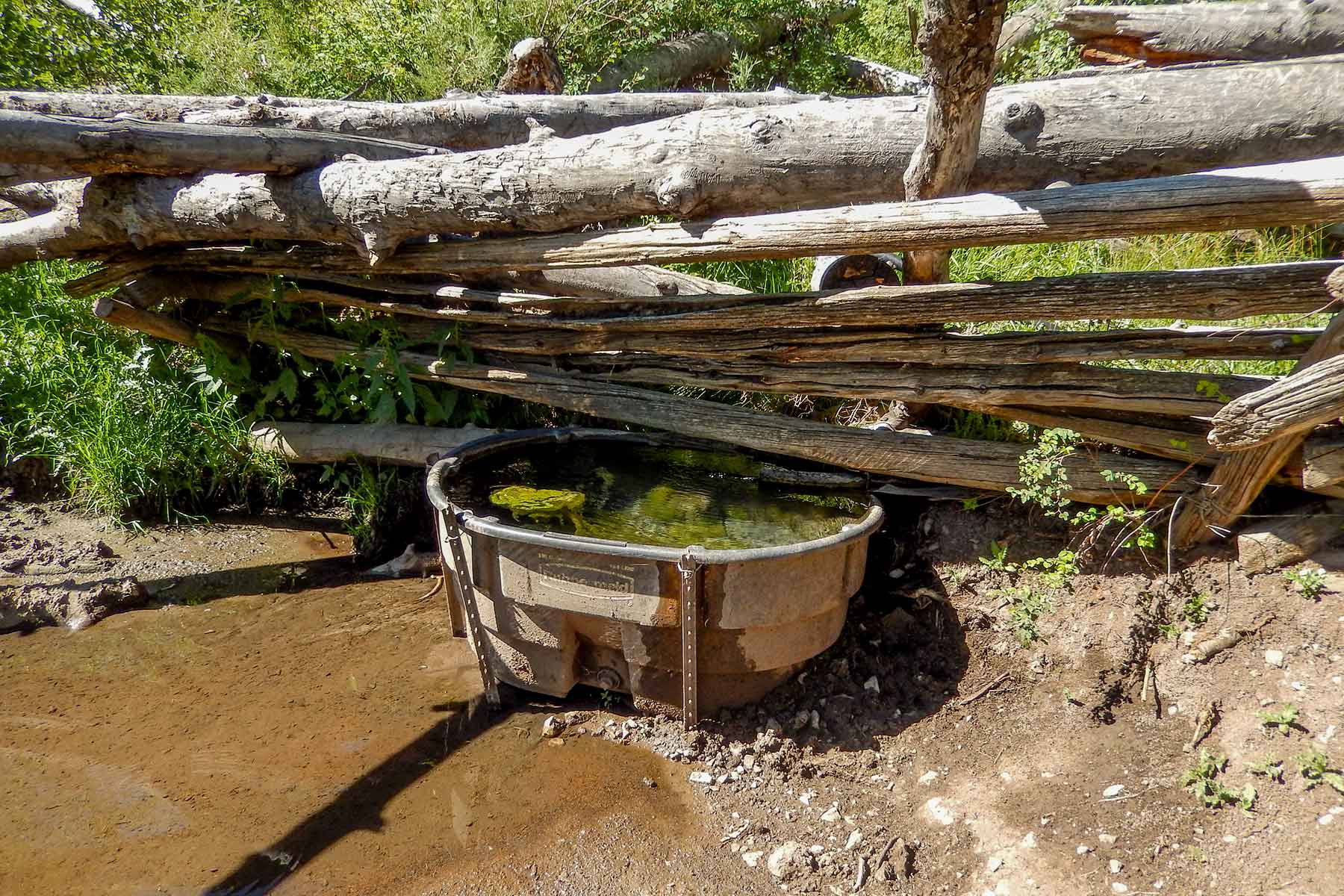 Deep Creek Wilderness Ranch property picture 14 of 24