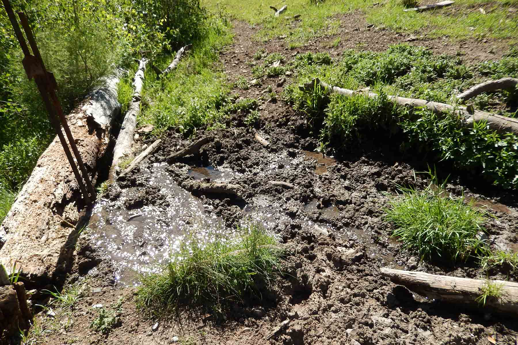 Deep Creek Wilderness Ranch property picture 15 of 24