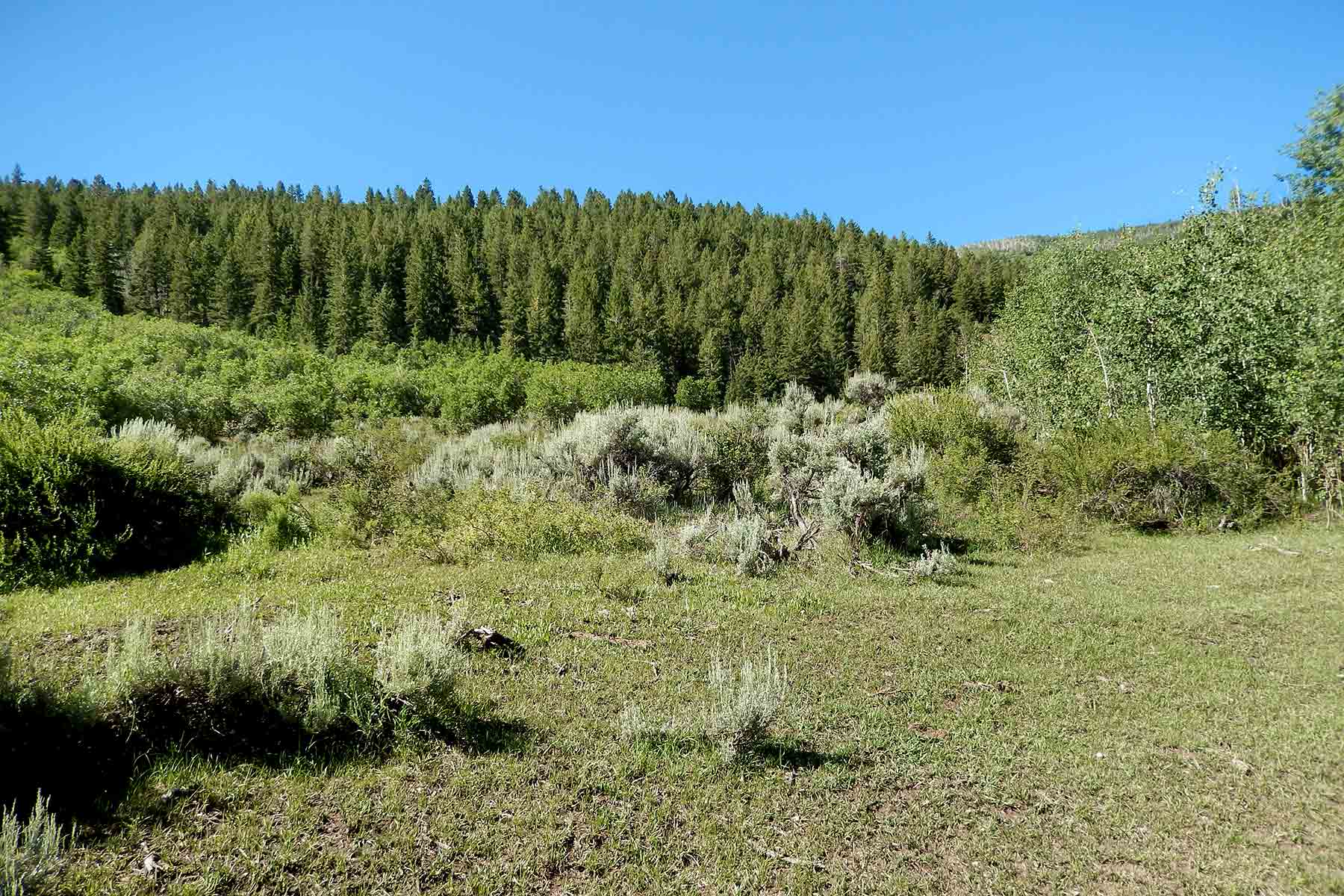 Deep Creek Wilderness Ranch property picture 9 of 24