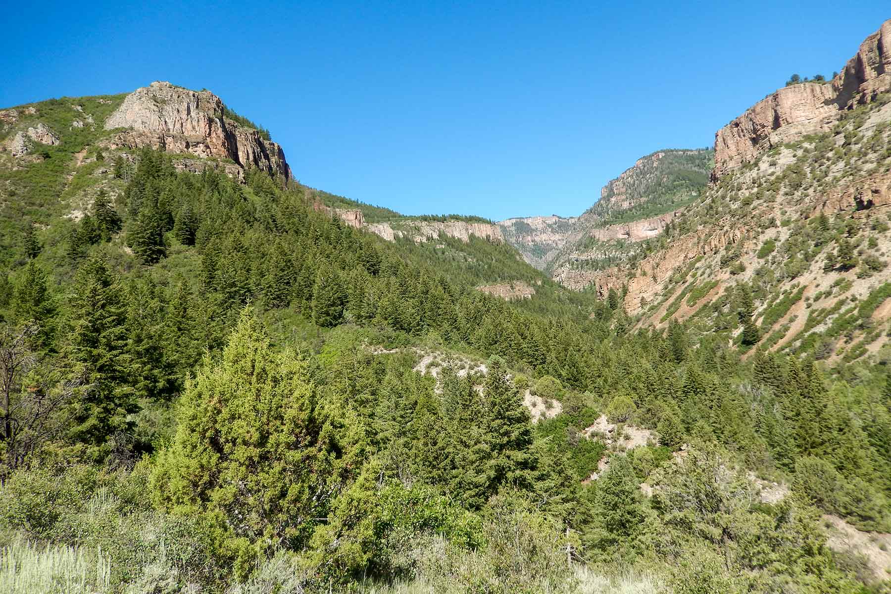 Deep Creek Wilderness Ranch property picture 10 of 24