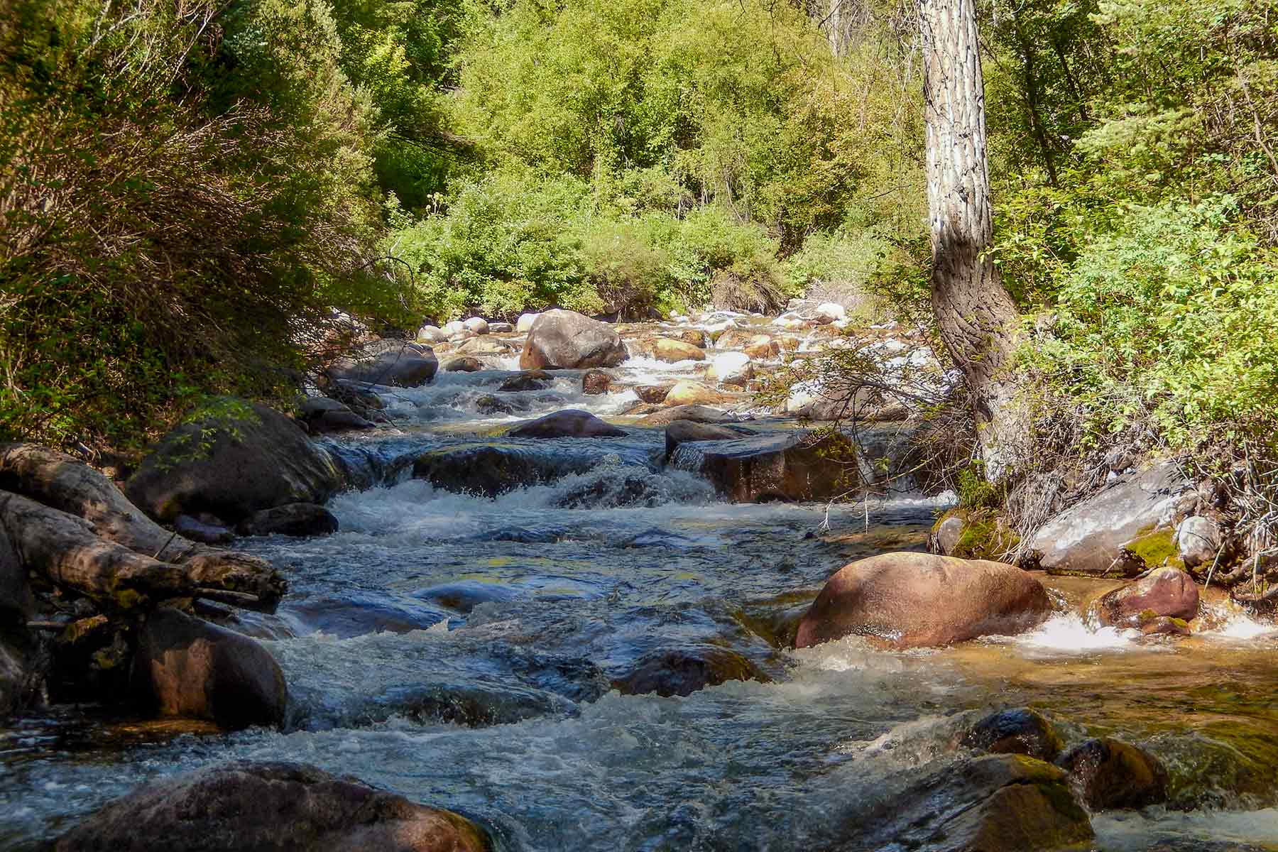 Deep Creek Wilderness Ranch Sold Colorado Hall and Hall