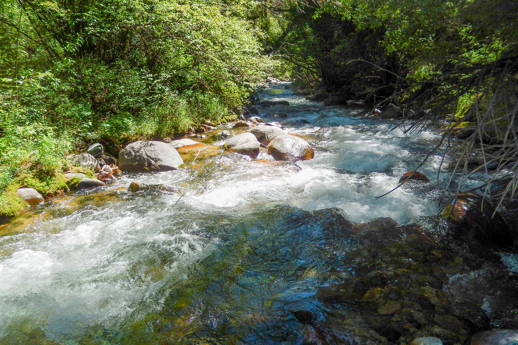 Deep Creek Wilderness Ranch property picture 6 of 24