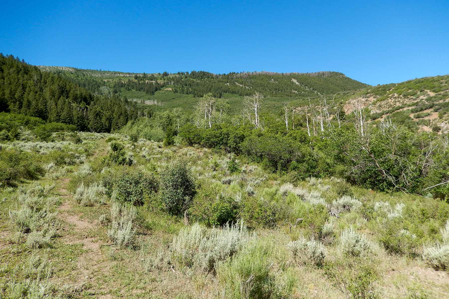 Deep Creek Wilderness Ranch property picture 7 of 24