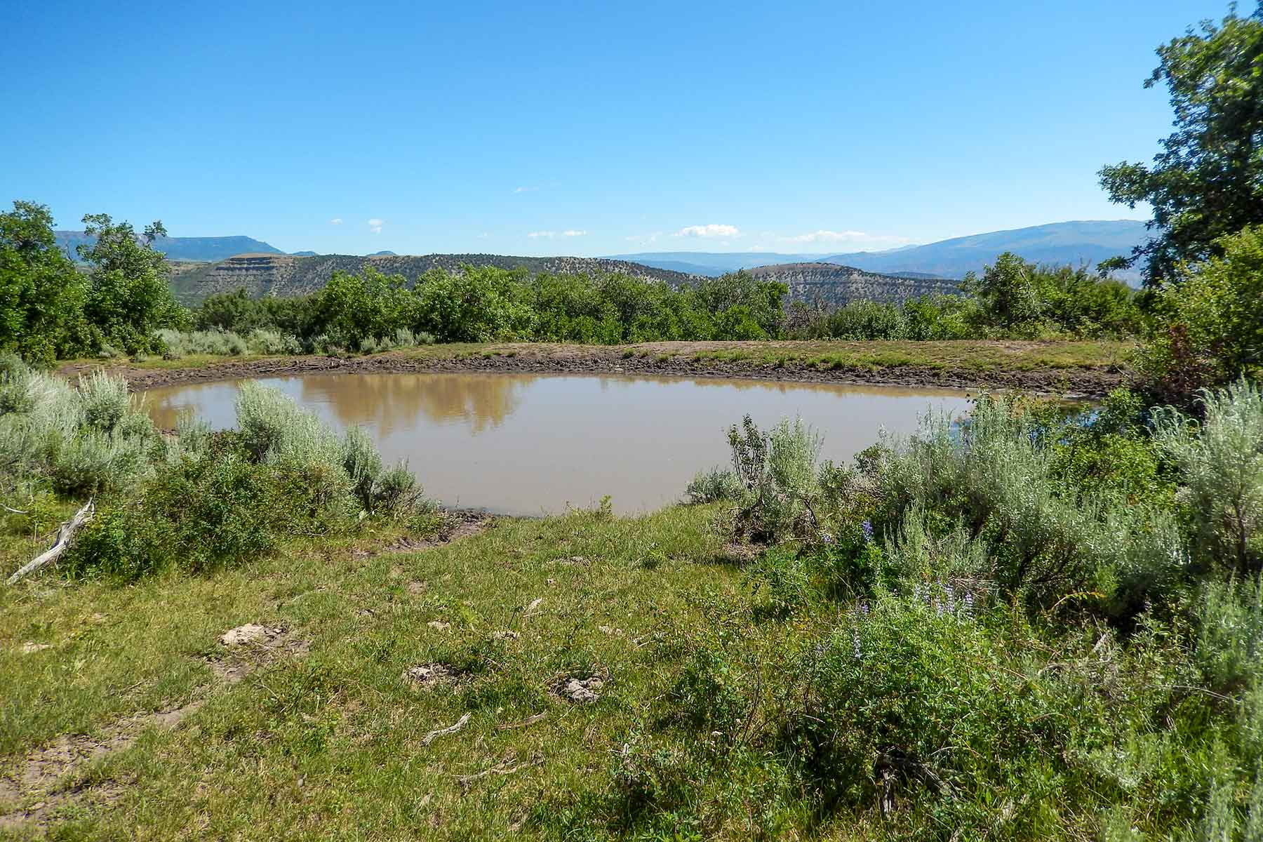 Deep Creek Wilderness Ranch property picture 4 of 24