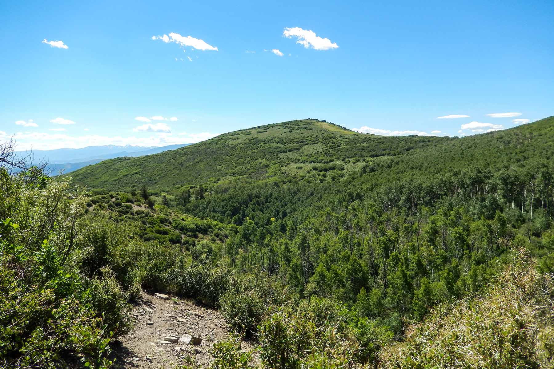 Deep Creek Wilderness Ranch property picture 3 of 24