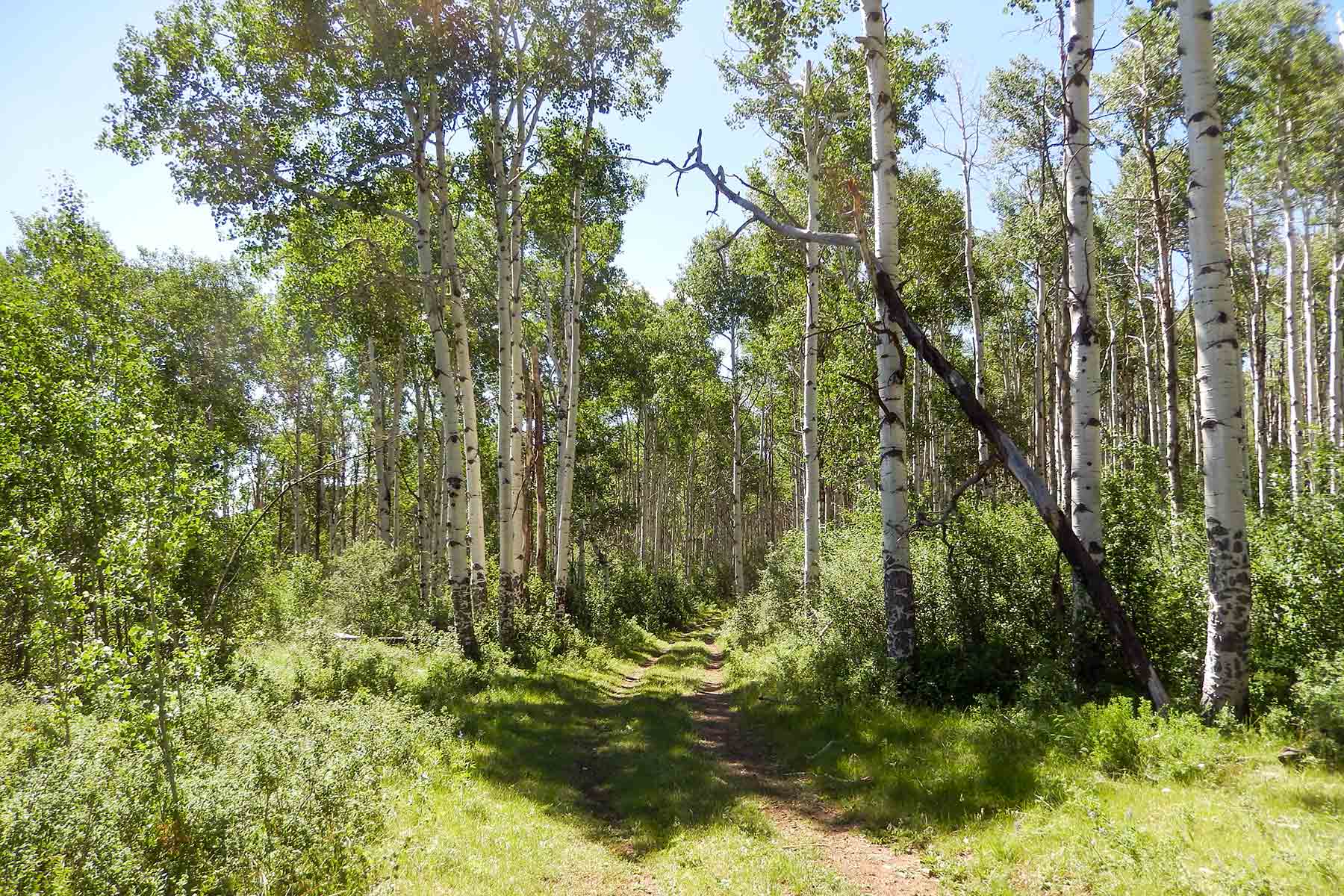 Deep Creek Wilderness Ranch property picture 5 of 24