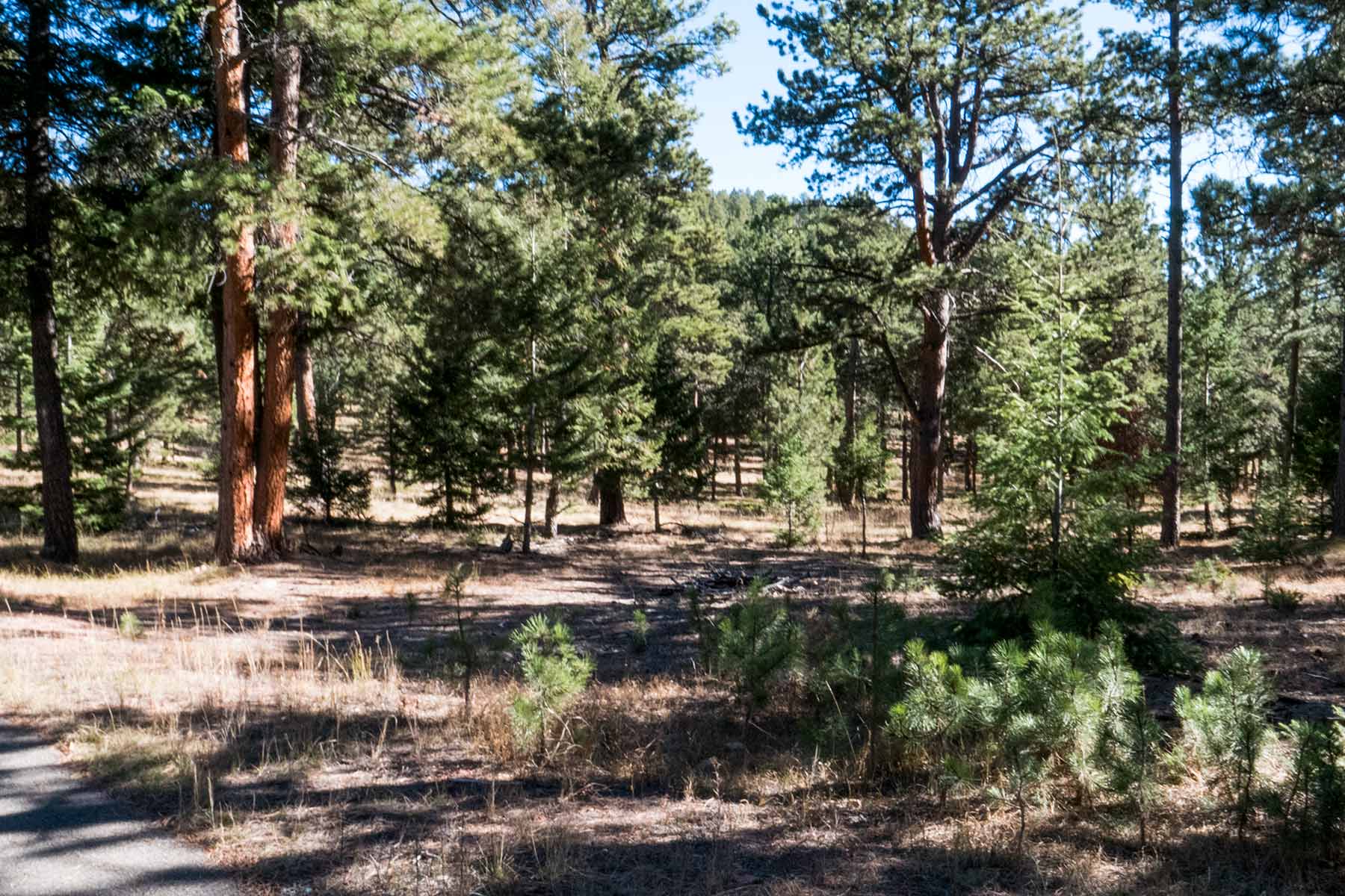 Saddle Mountain Ranch property picture 46 of 46