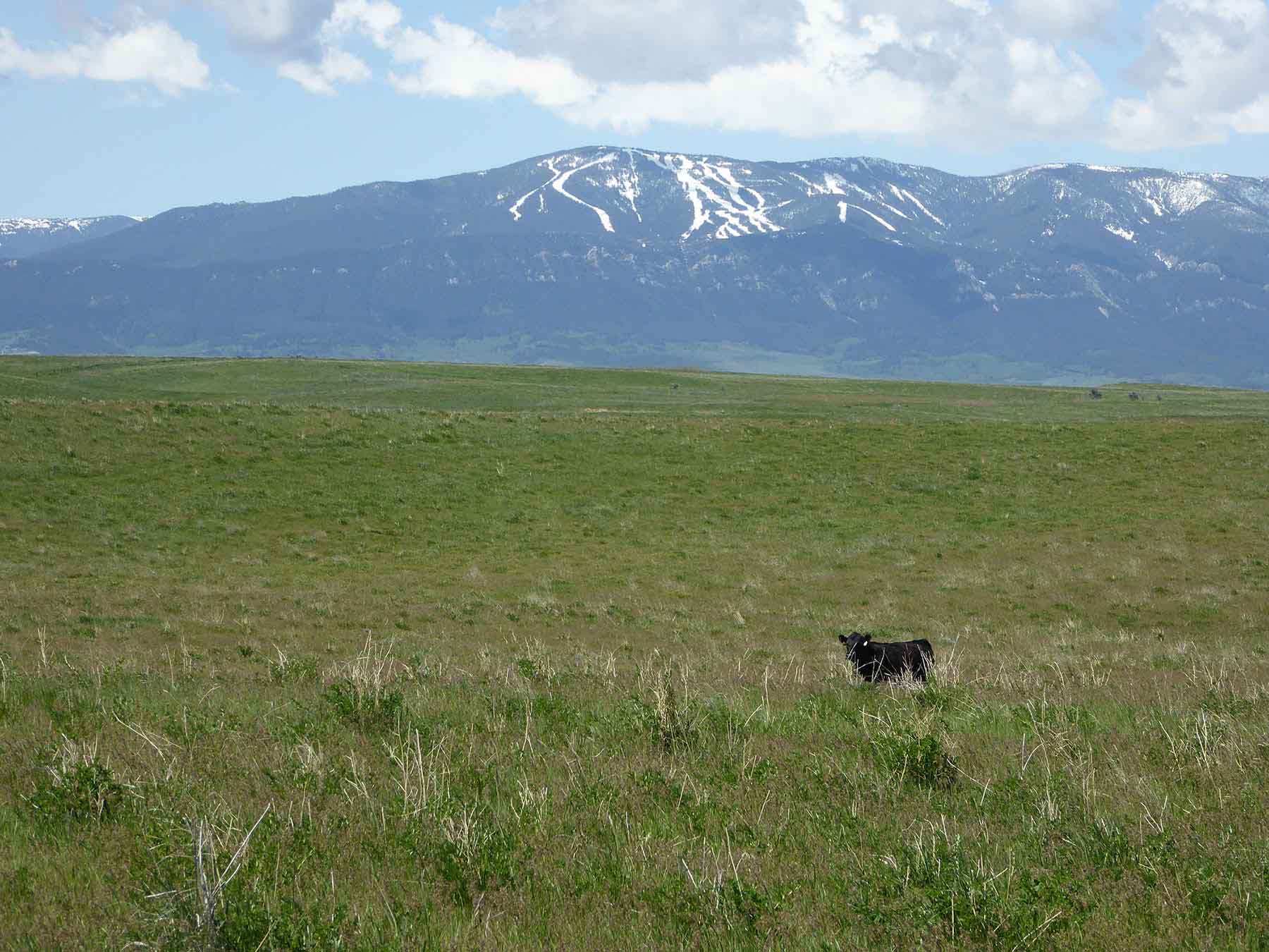 L-BO Creek Ranch property picture 18 of 26