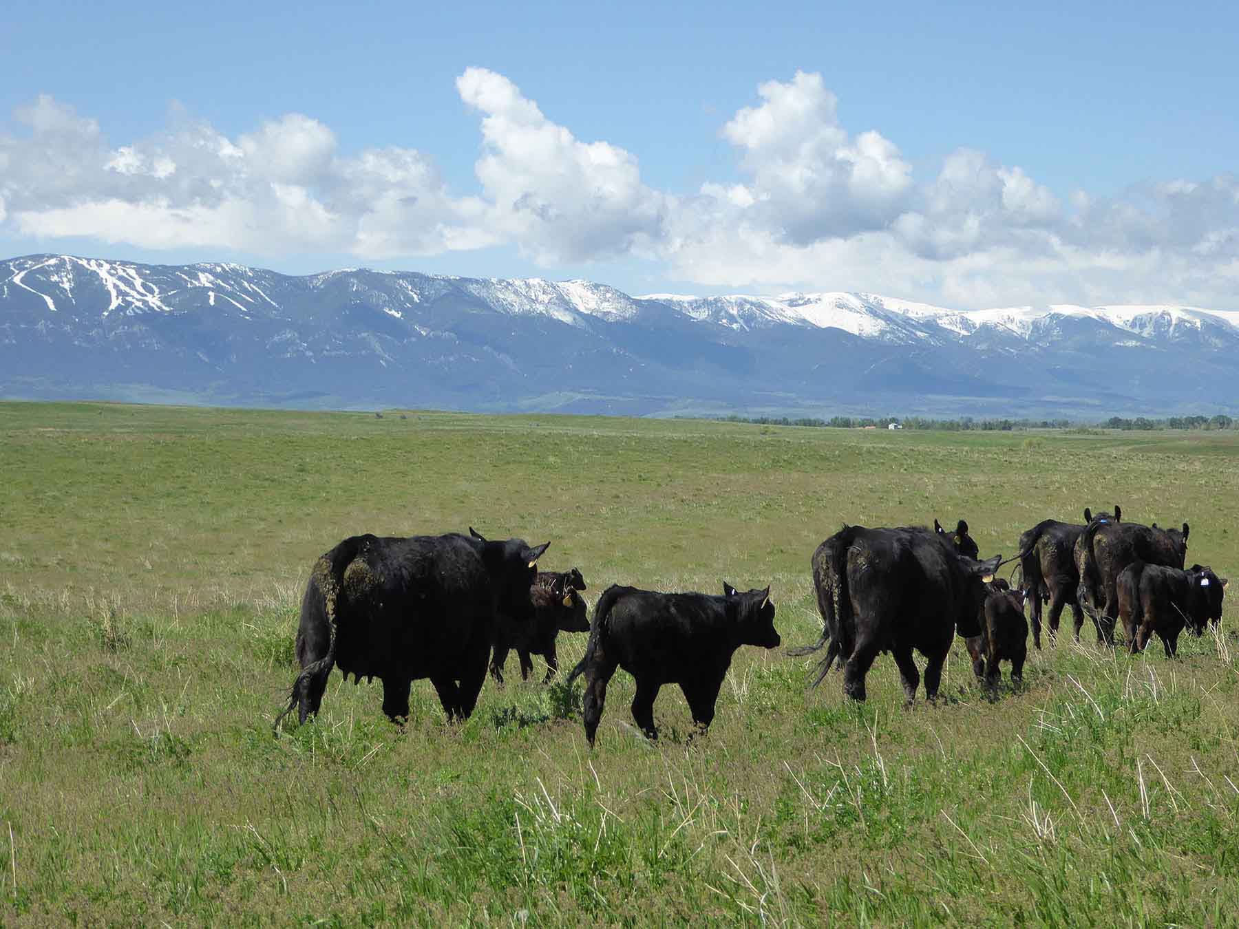 L-BO Creek Ranch property picture 6 of 26