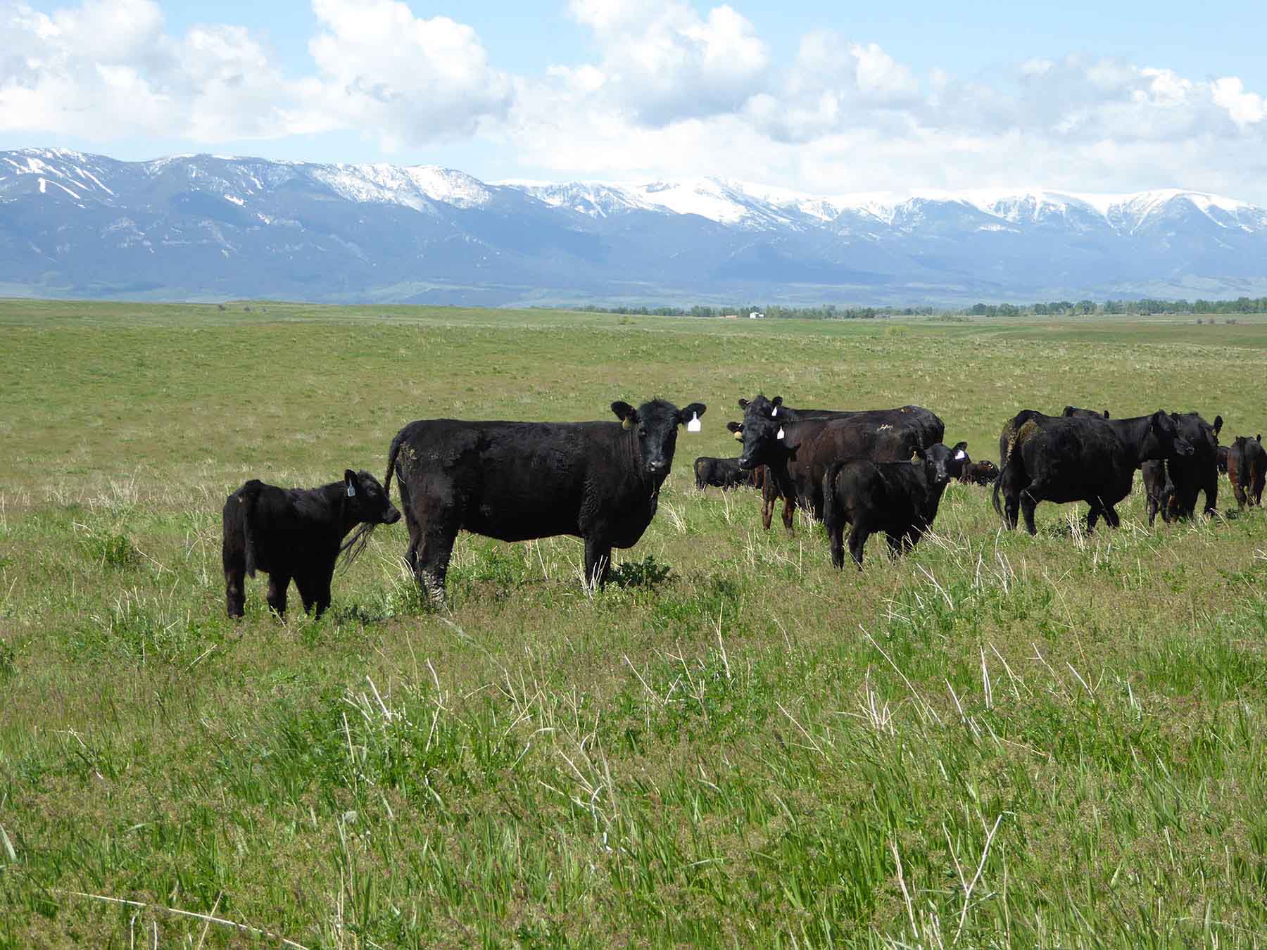 L-BO Creek Ranch property picture 15 of 26