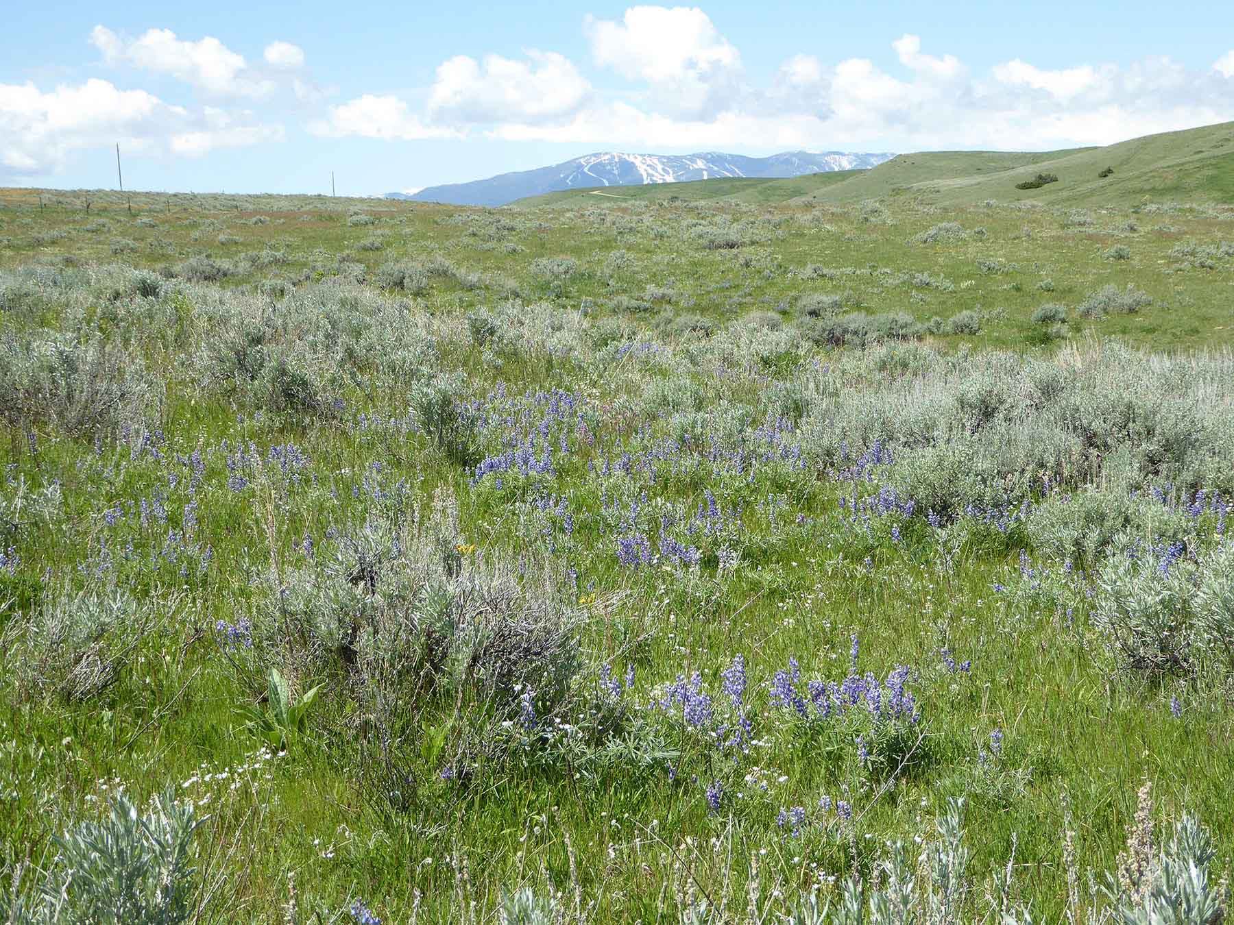 L-BO Creek Ranch property picture 14 of 26