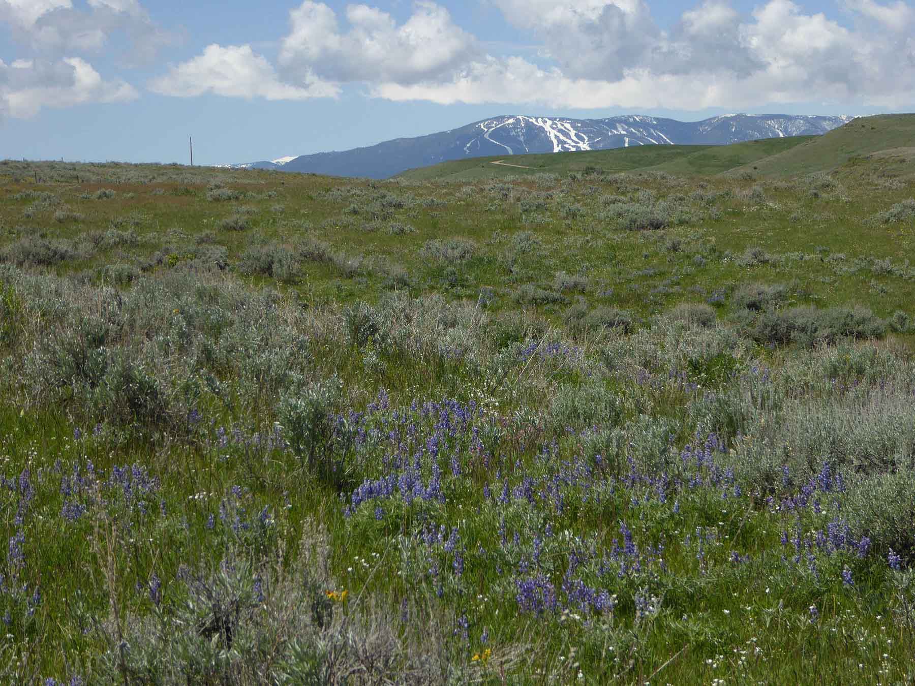 L-BO Creek Ranch property picture 13 of 26