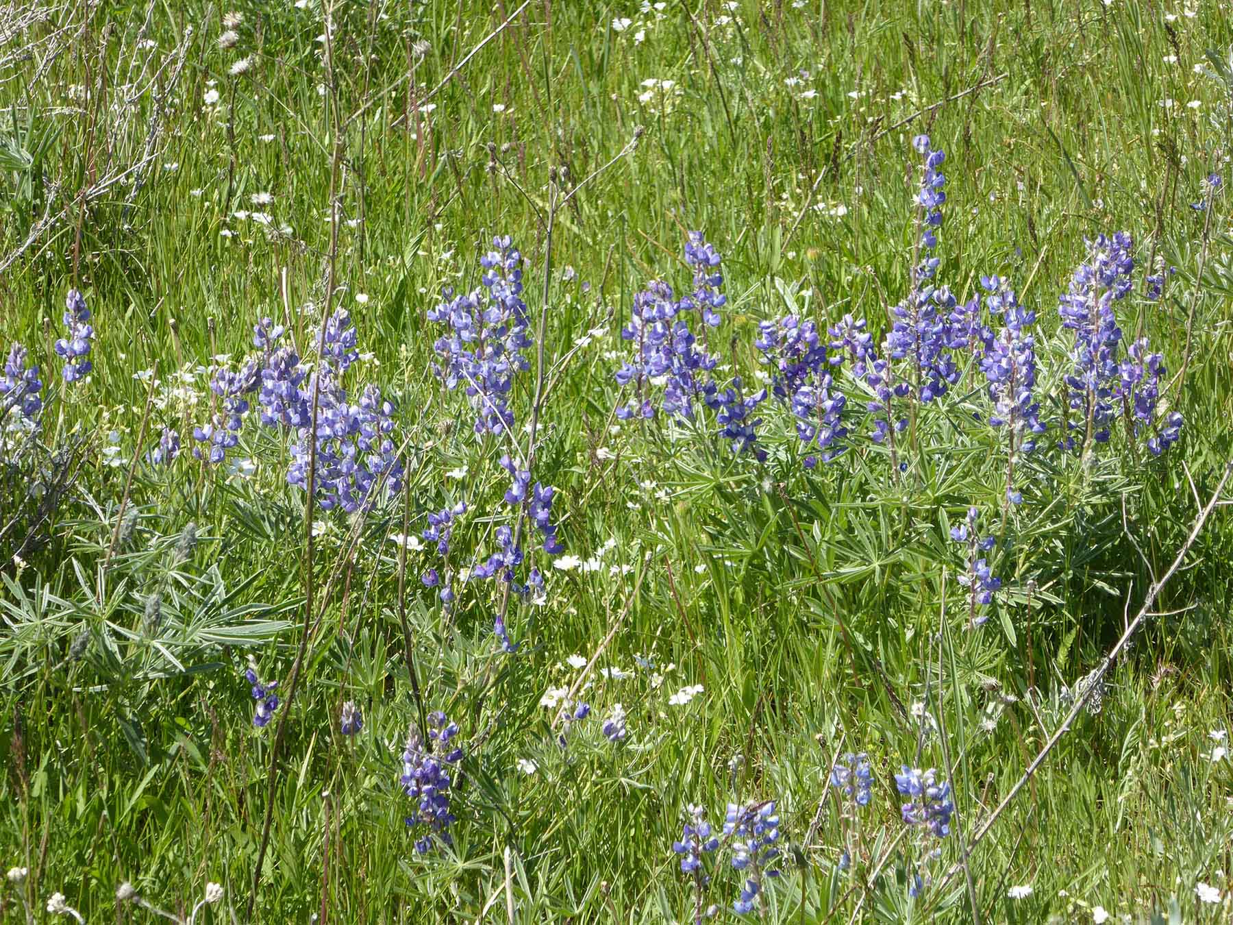 L-BO Creek Ranch property picture 12 of 26