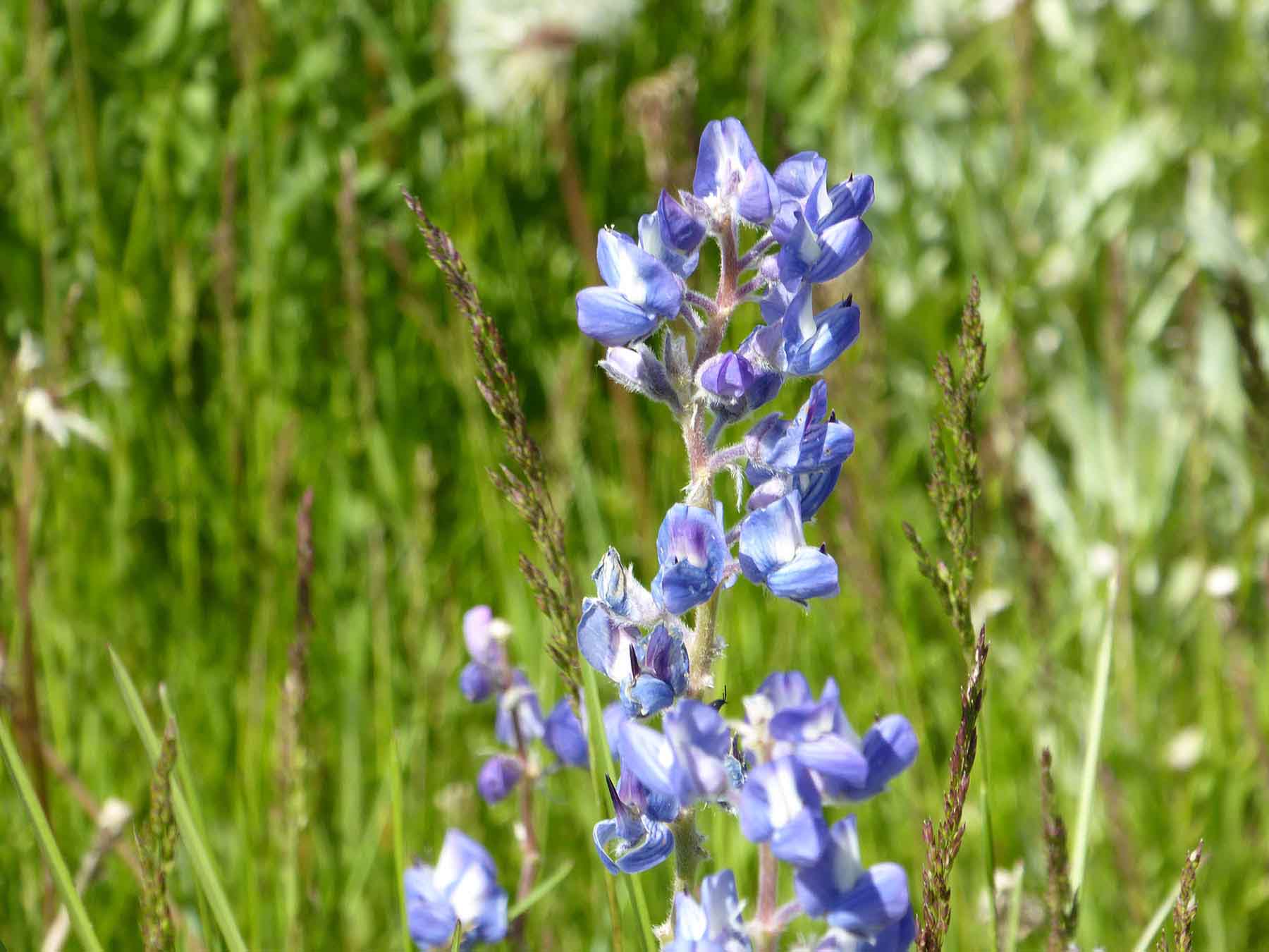 L-BO Creek Ranch property picture 11 of 26