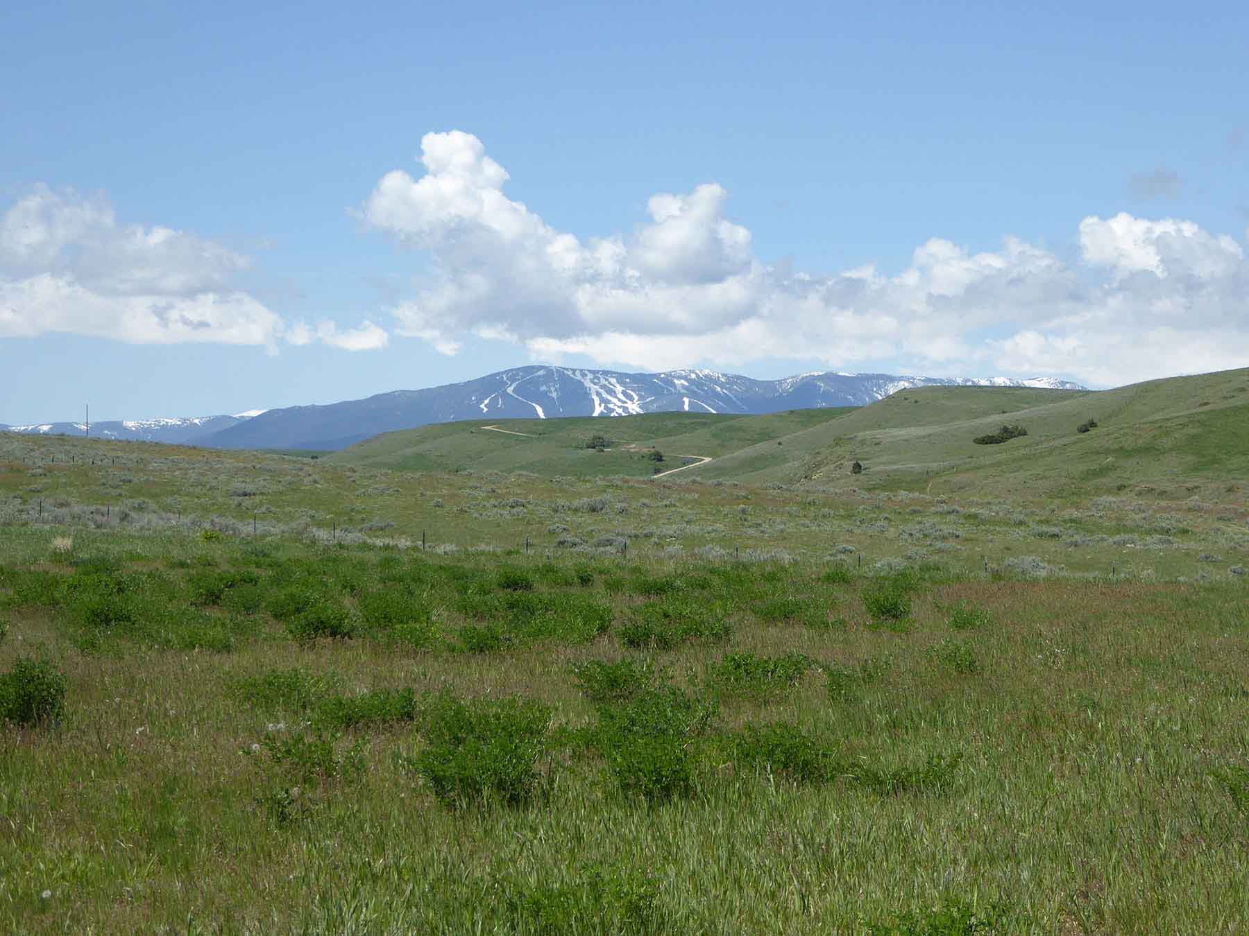 L-BO Creek Ranch property picture 10 of 26