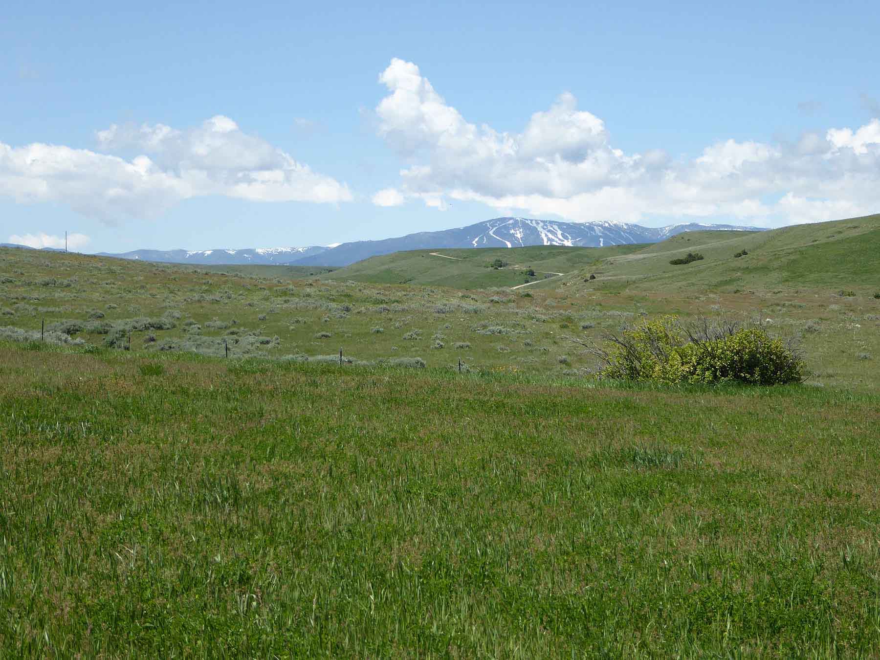 L-BO Creek Ranch property picture 9 of 26