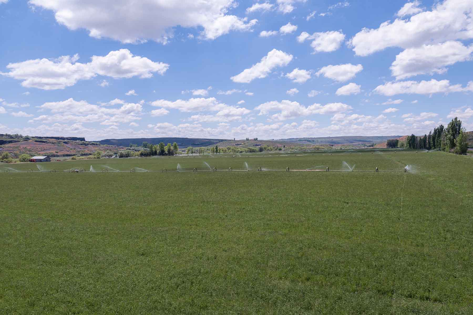 Salmon Creek Farm property picture 21 of 35