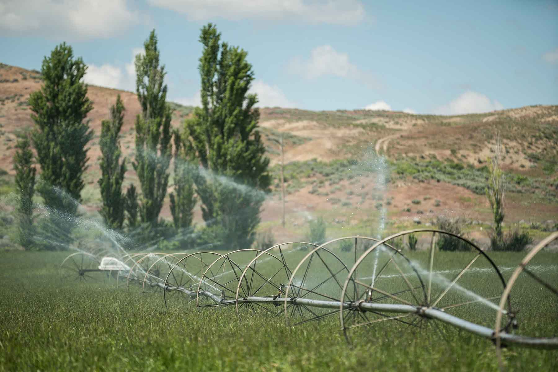 Salmon Creek Farm property picture 22 of 35