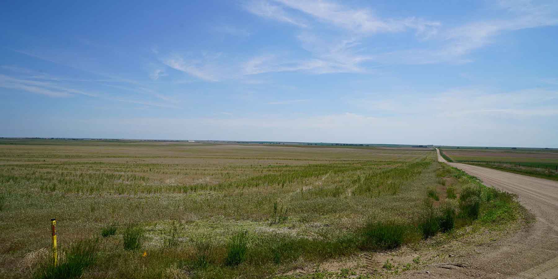 Bowen Arrow Ranch property picture 8 of 26