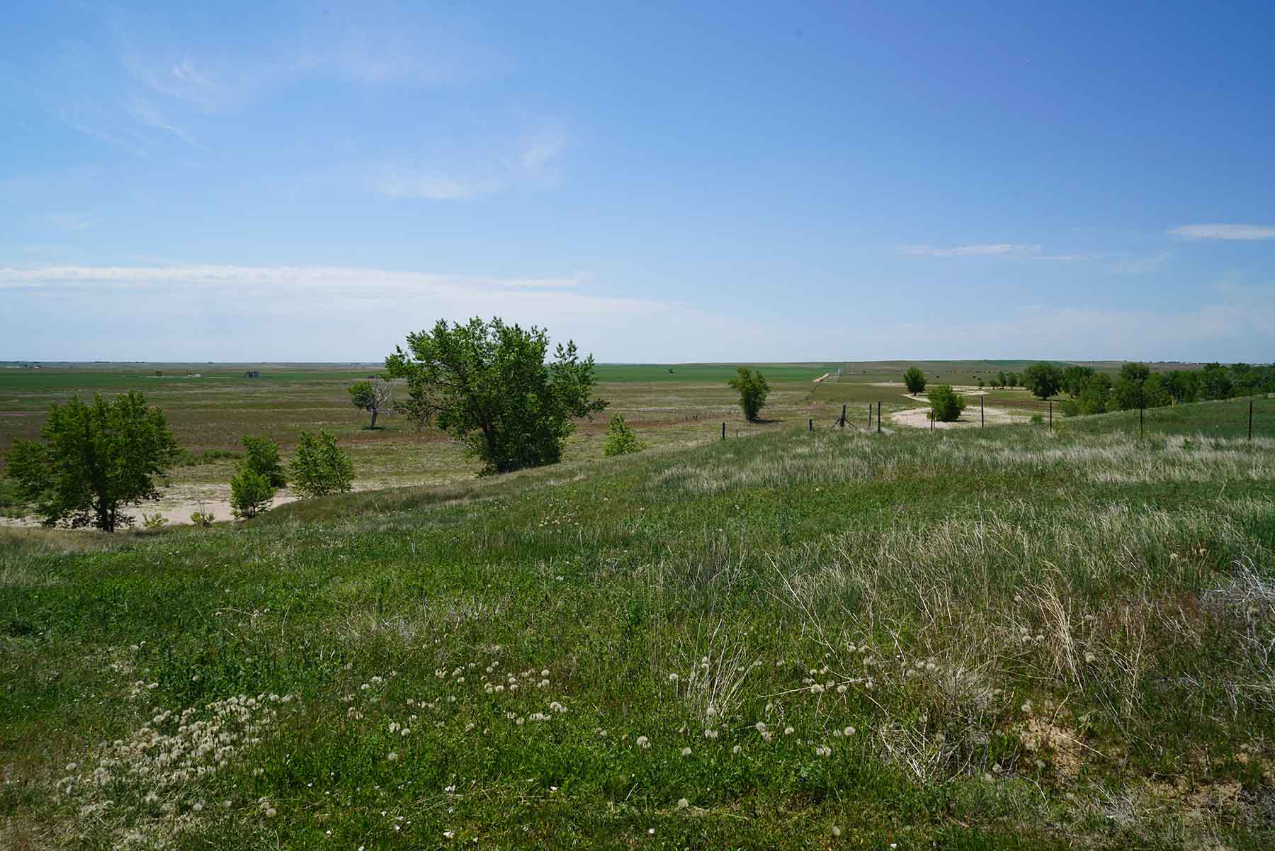 Bowen Arrow Ranch property picture 13 of 26