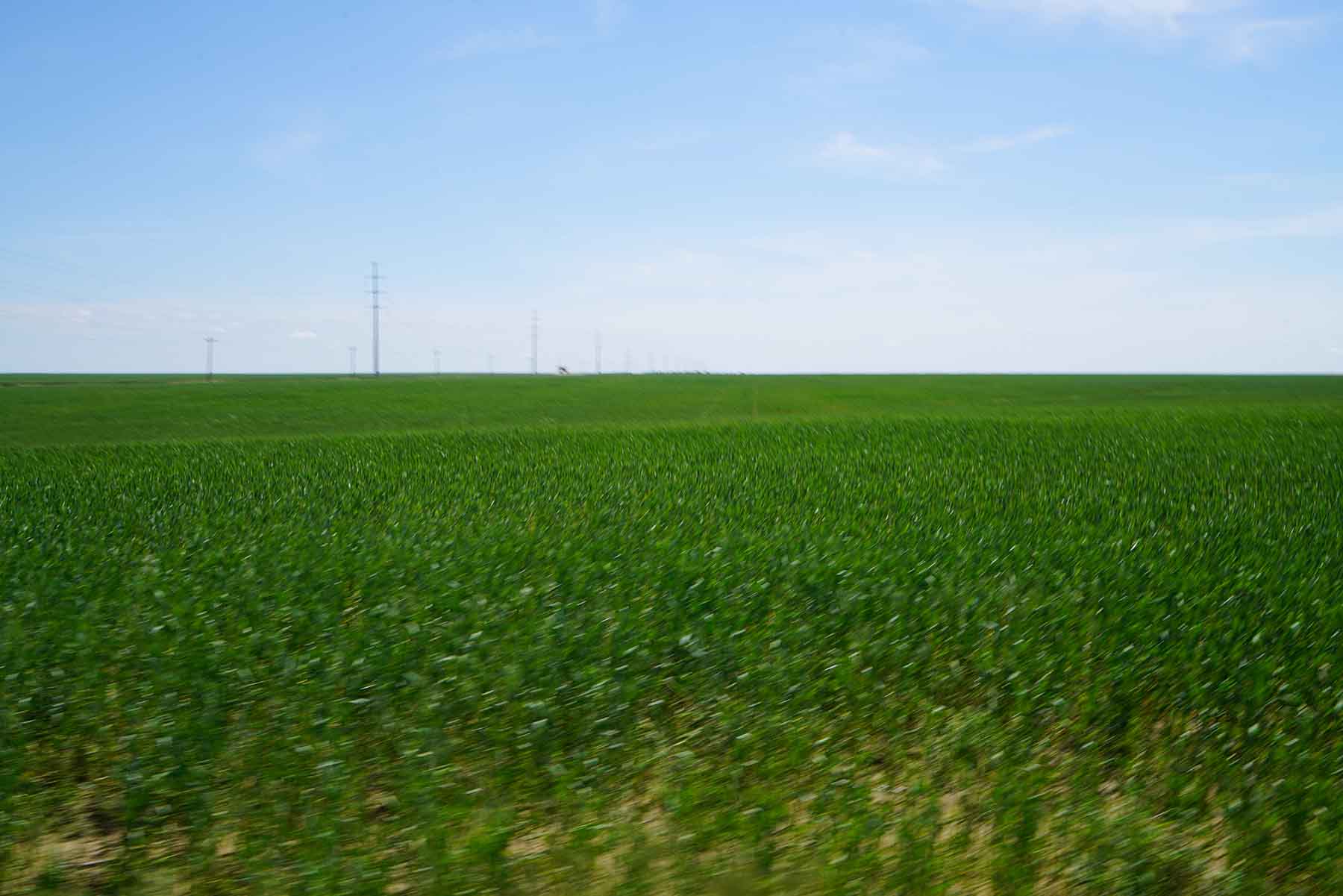 Bowen Arrow Ranch property picture 3 of 26