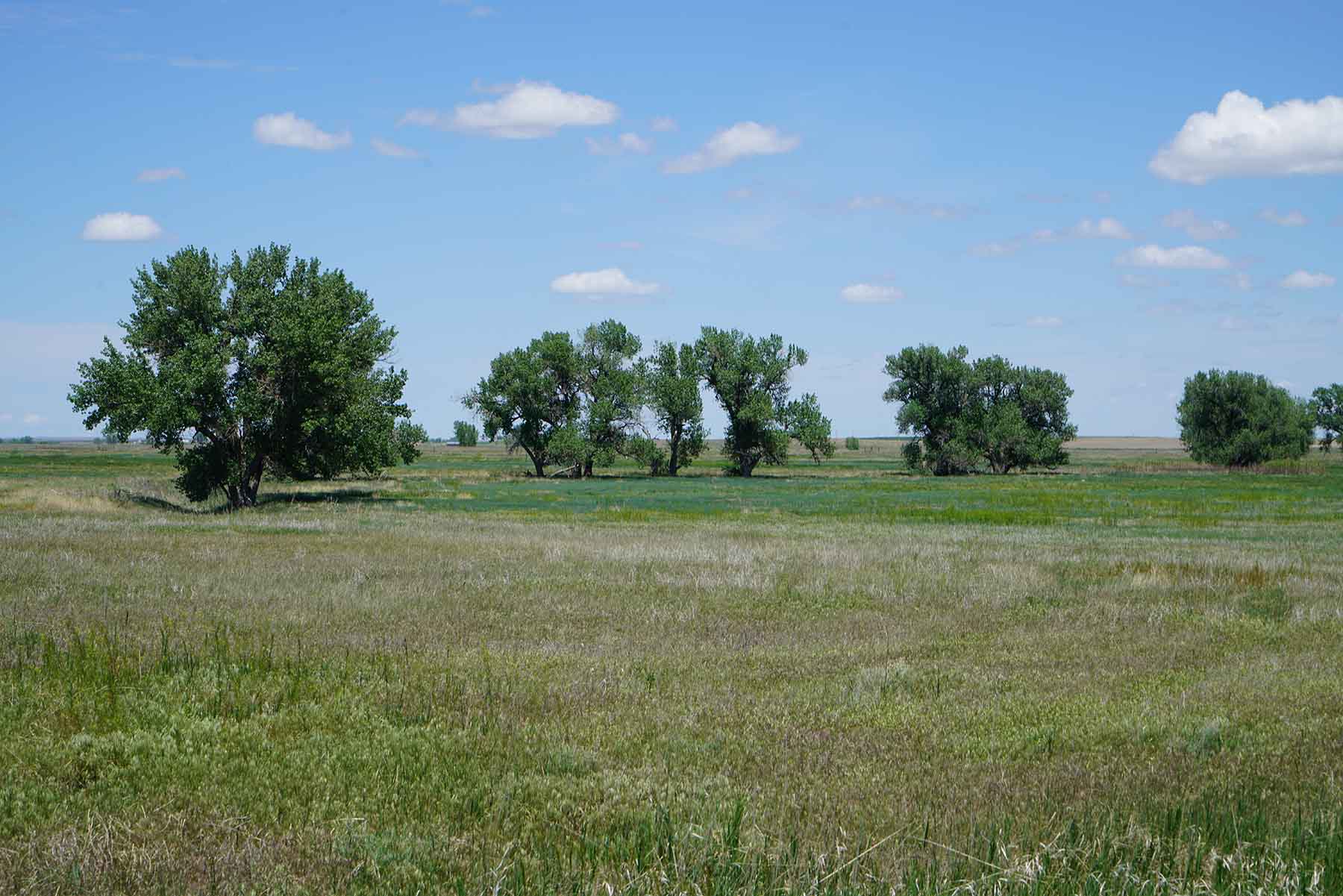 Bowen Arrow Ranch property picture 14 of 26