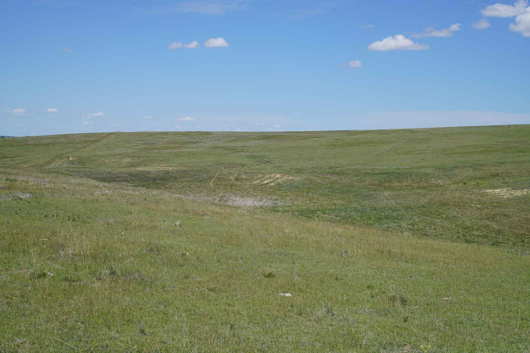 Bowen Arrow Ranch property picture 23 of 26