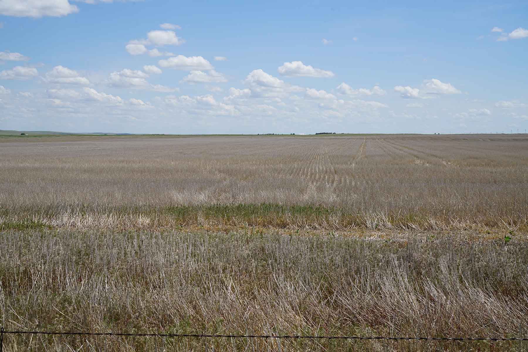 Bowen Arrow Ranch property picture 4 of 26