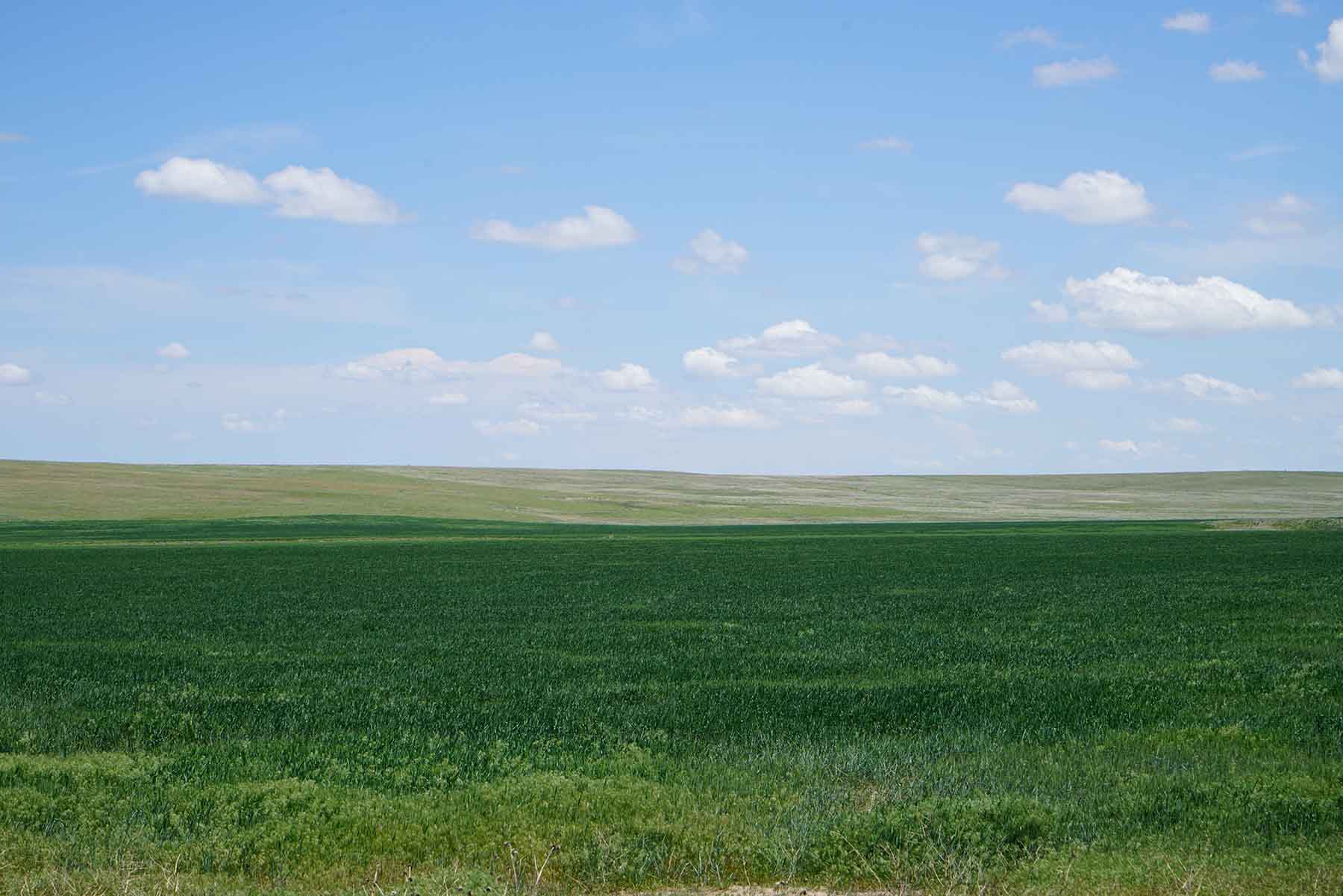 Bowen Arrow Ranch property picture 15 of 26