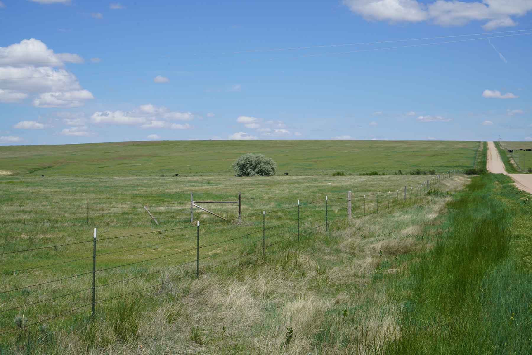 Bowen Arrow Ranch property picture 16 of 26