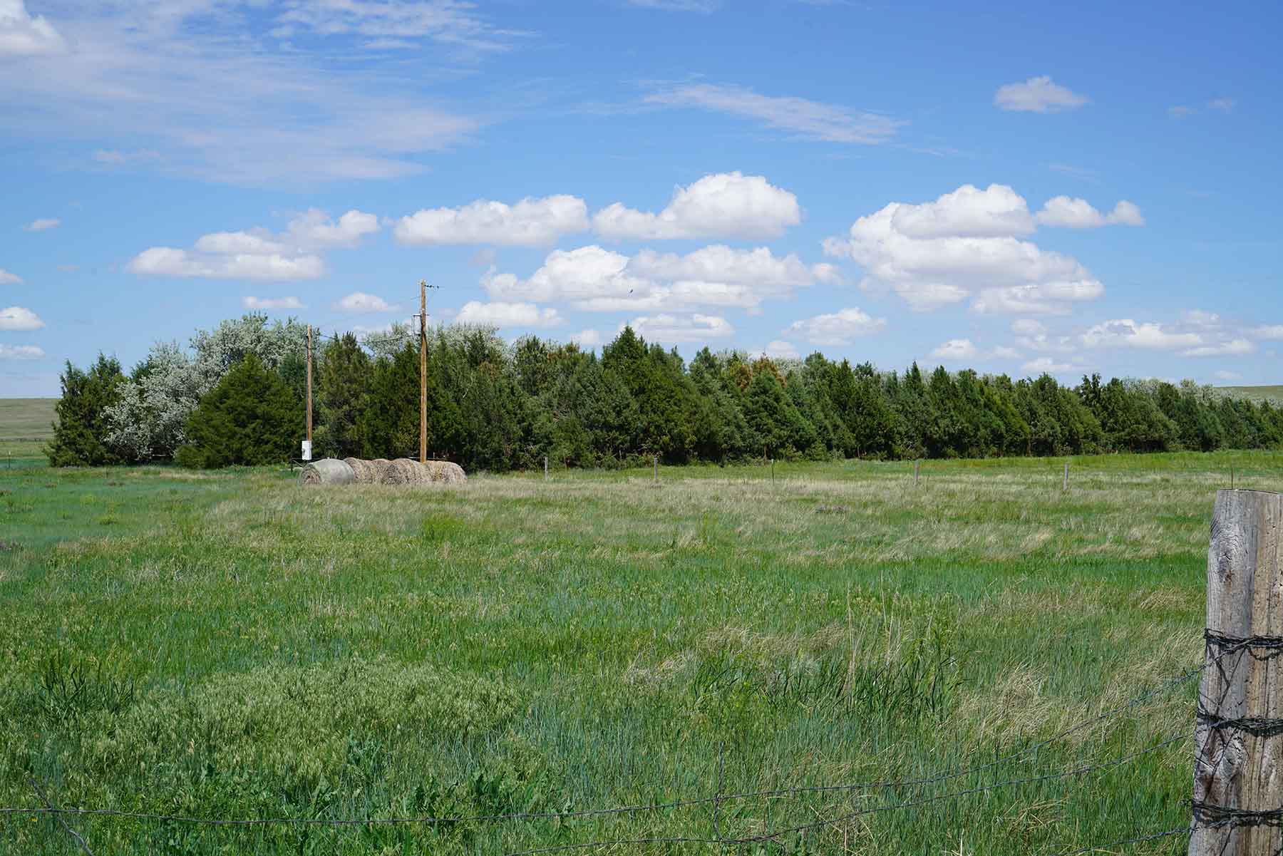 Bowen Arrow Ranch property picture 17 of 26