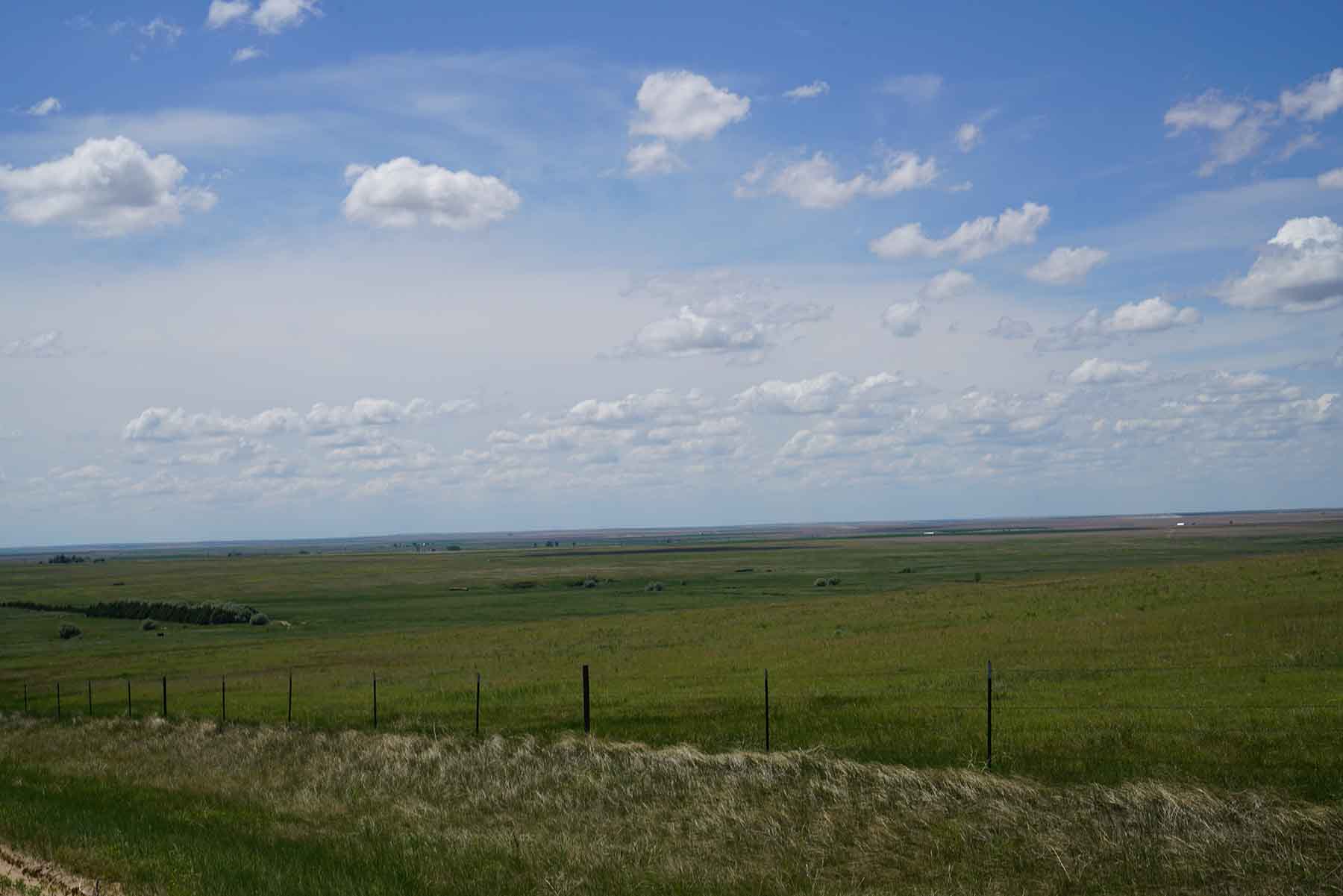 Bowen Arrow Ranch property picture 18 of 26