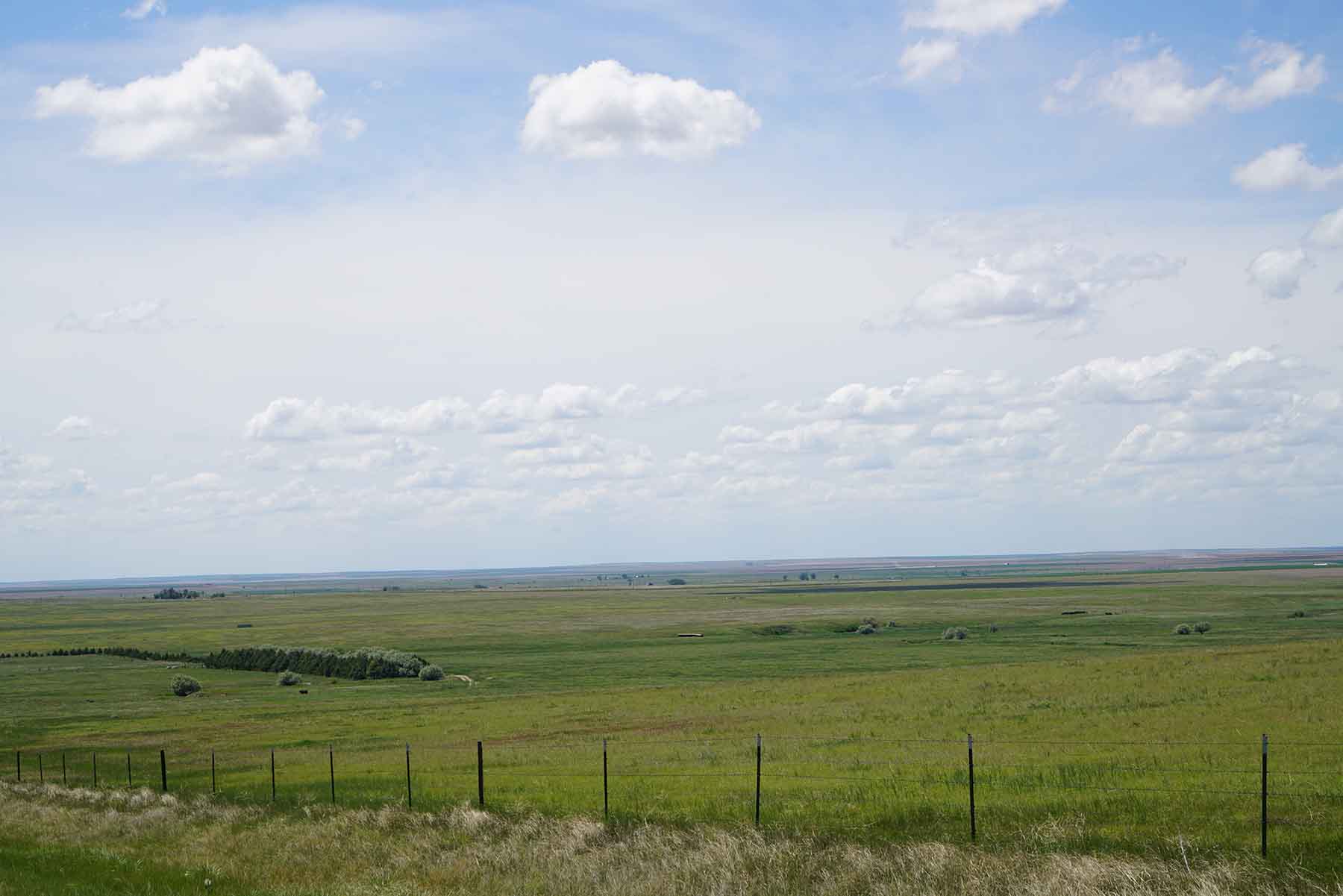 Bowen Arrow Ranch property picture 19 of 26