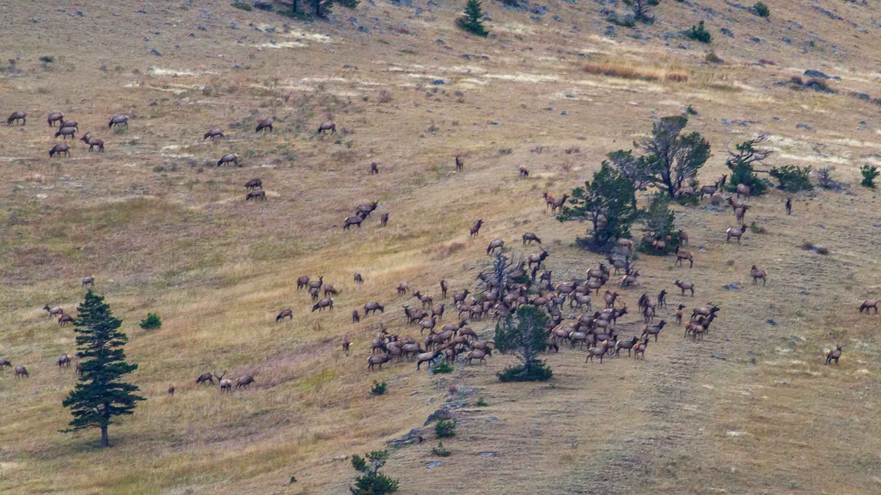 Miner Creek Ranch property picture 11 of 54