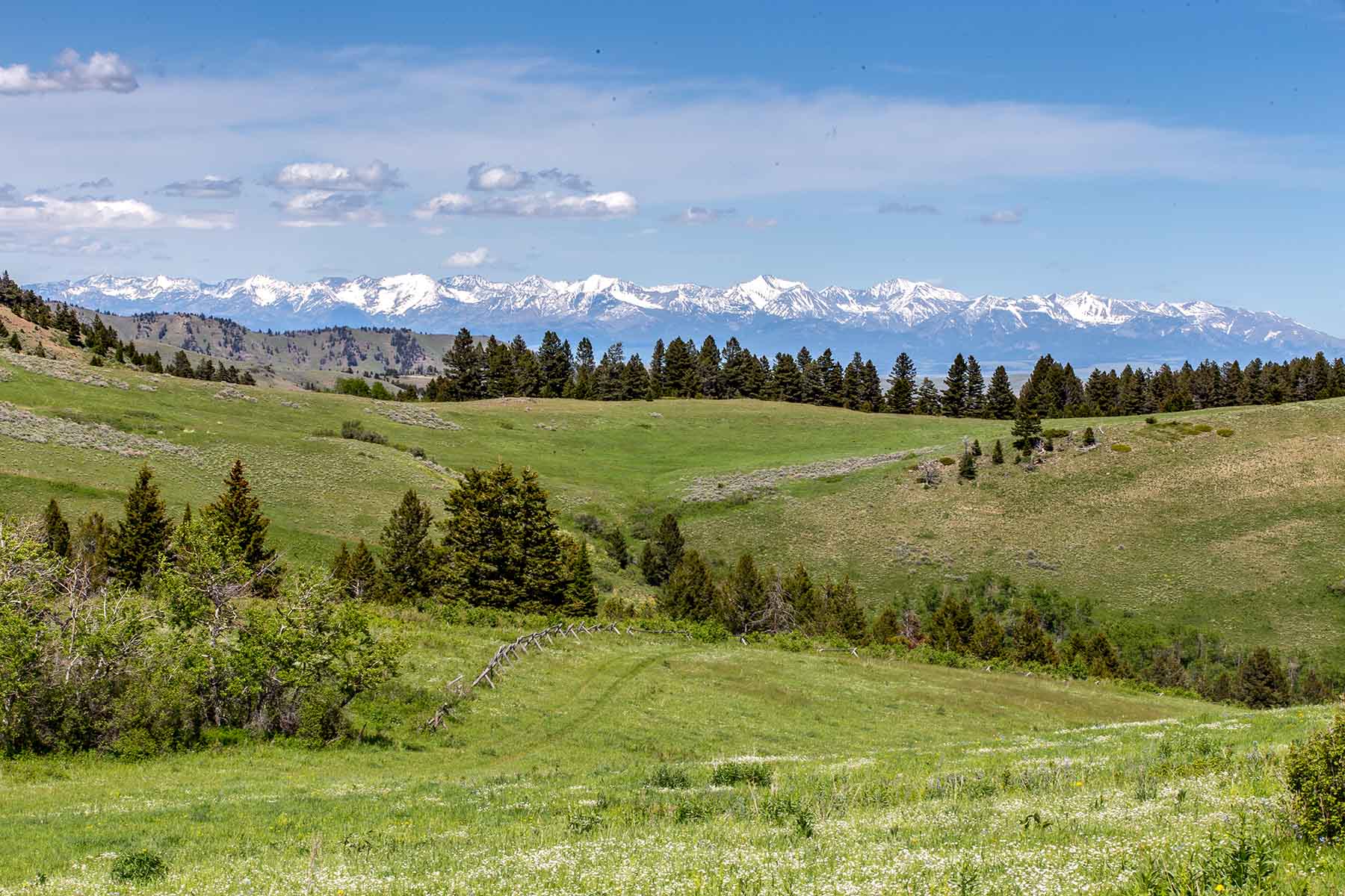 Miner Creek Ranch property picture 30 of 54