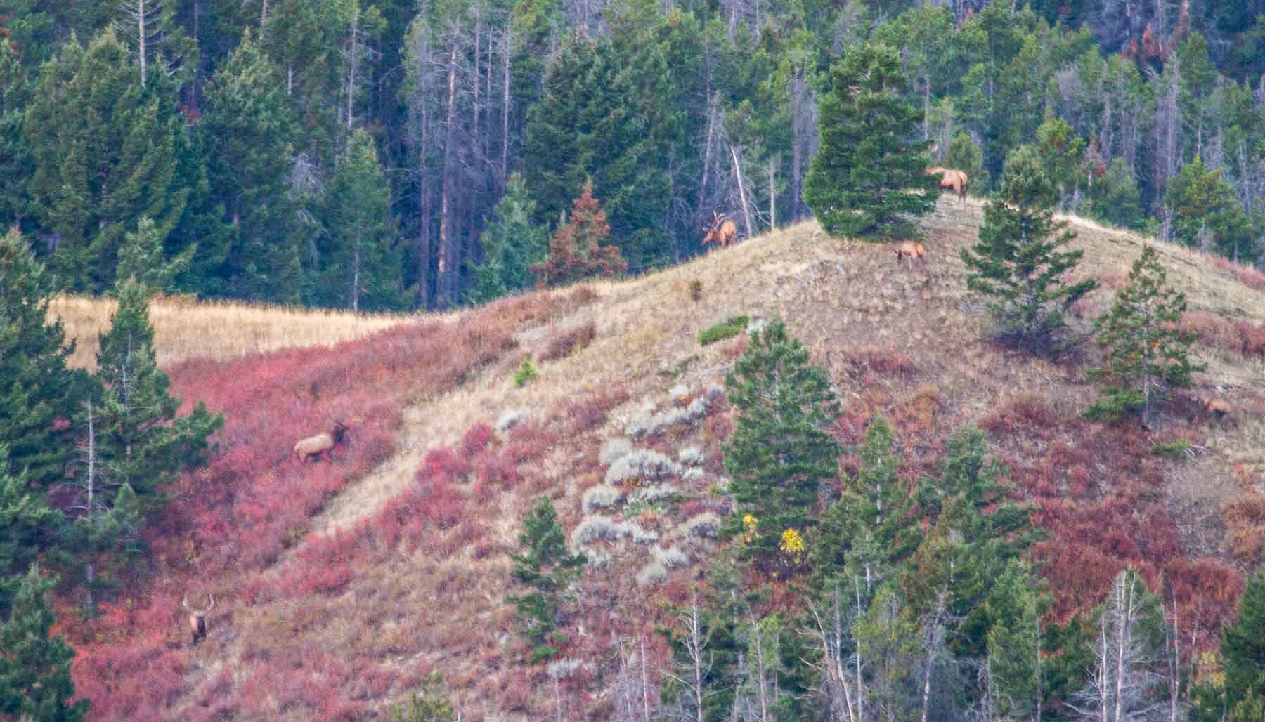 Miner Creek Ranch property picture 10 of 54