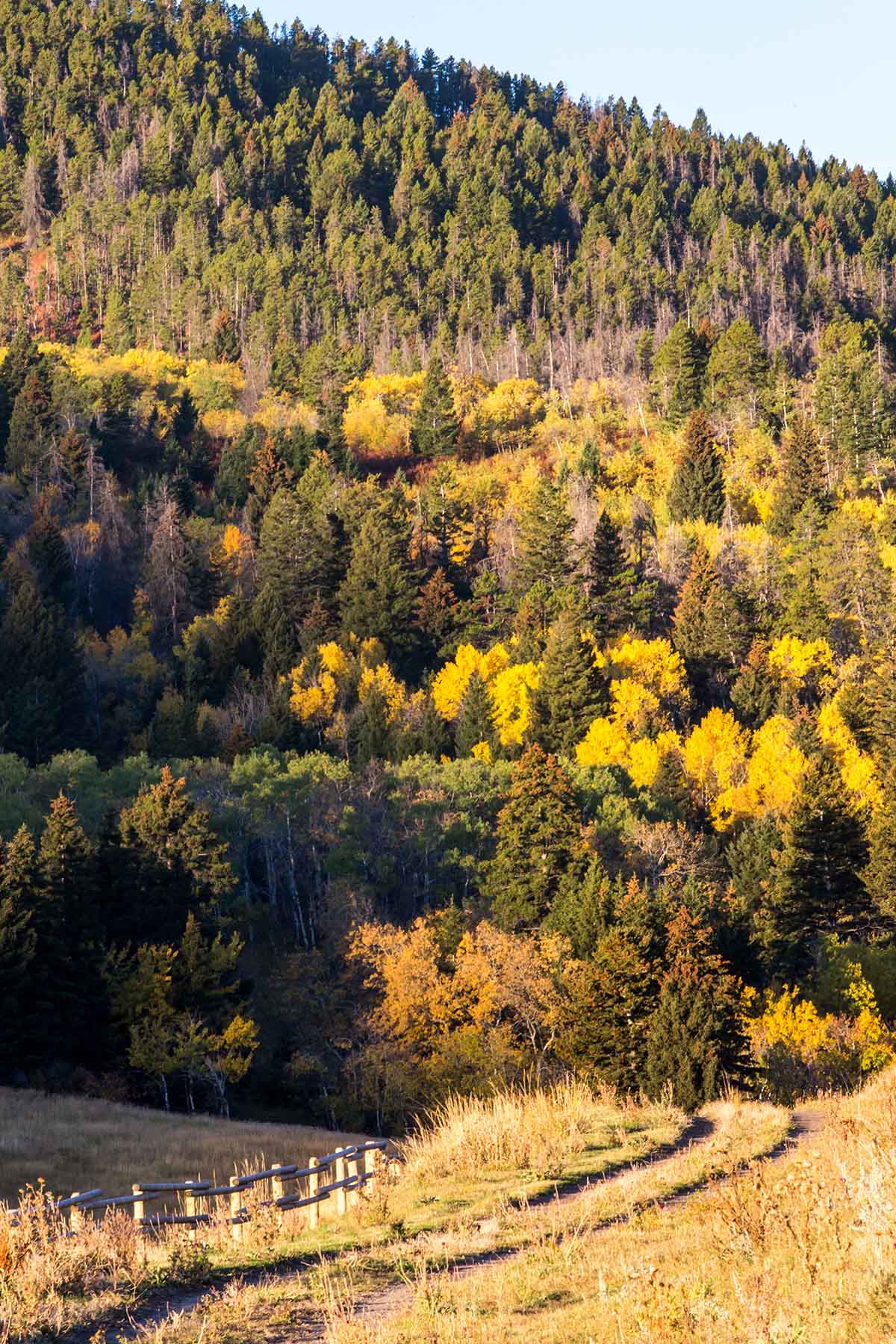 Miner Creek Ranch property picture 44 of 54