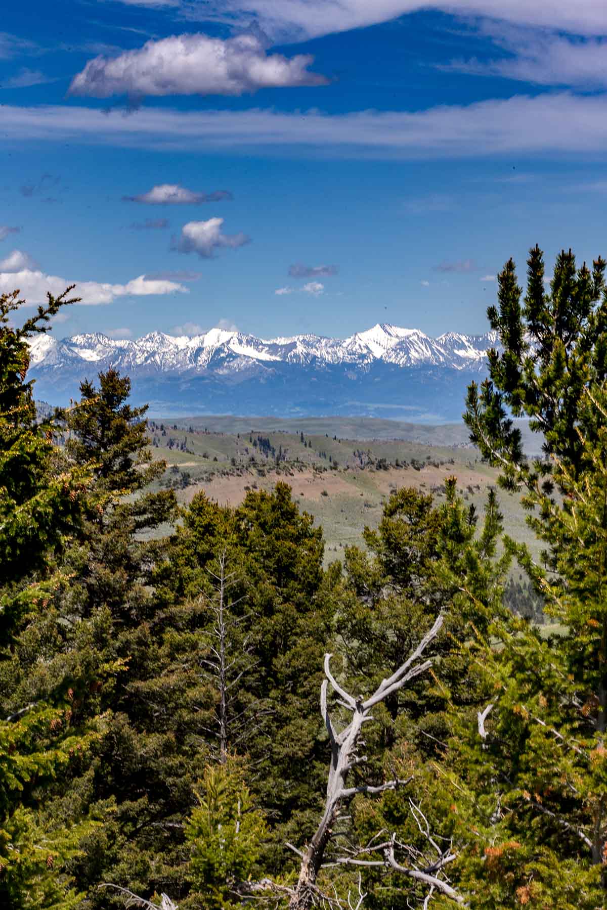 Miner Creek Ranch property picture 26 of 54