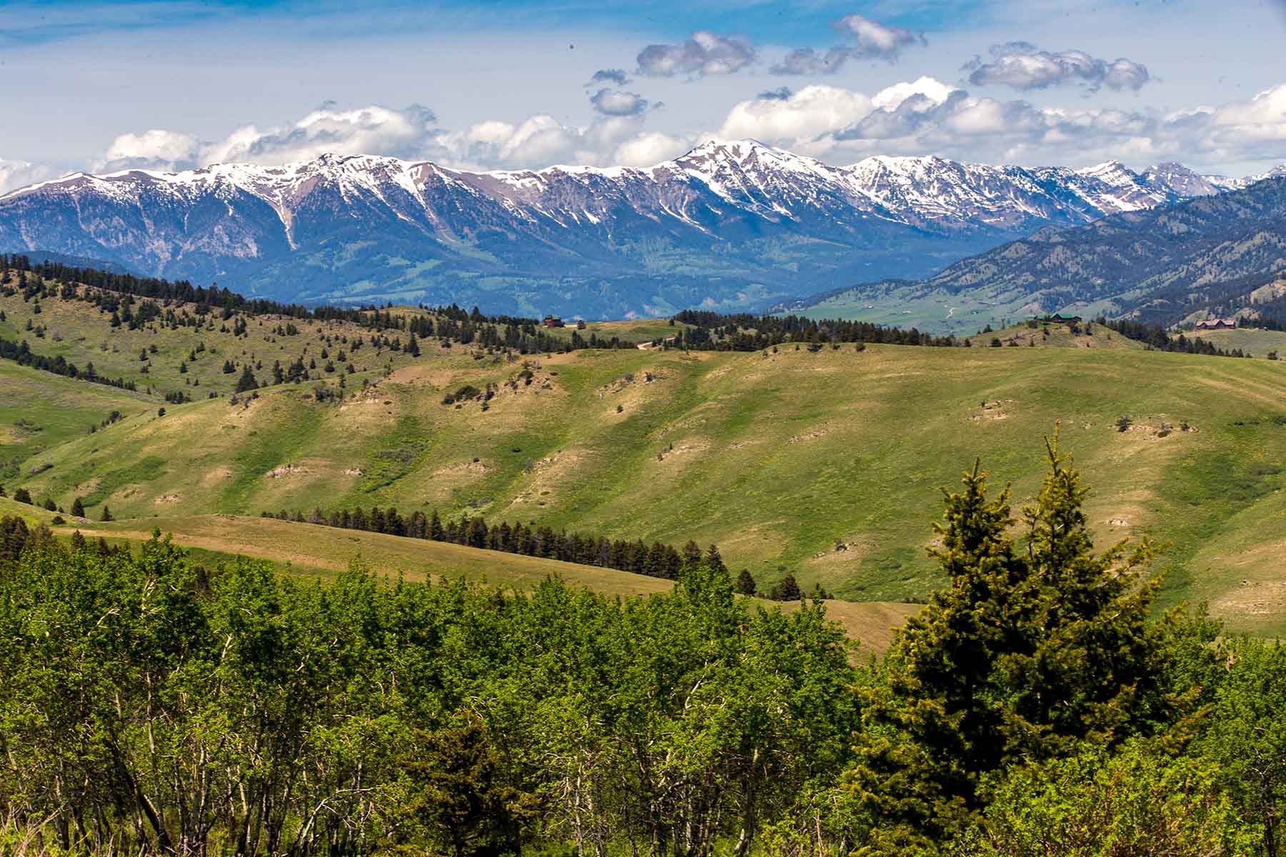 Miner Creek Ranch property picture 45 of 54