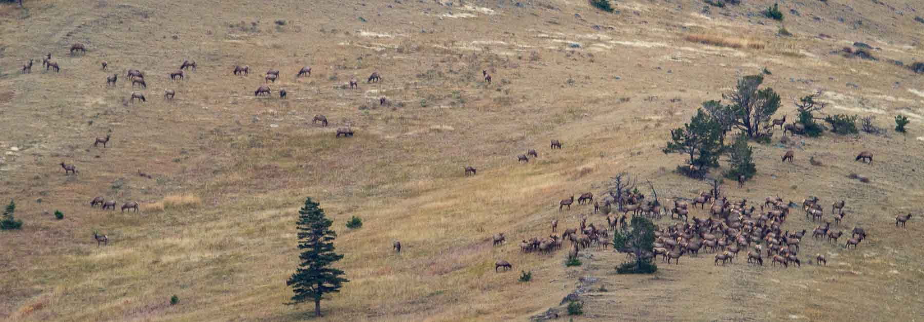 Miner Creek Ranch property picture 39 of 54