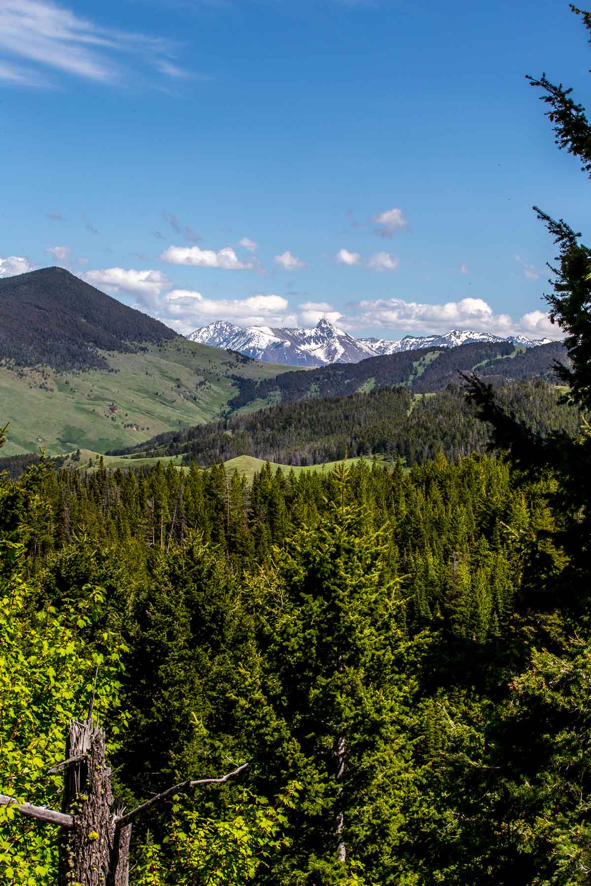 Miner Creek Ranch property picture 32 of 54