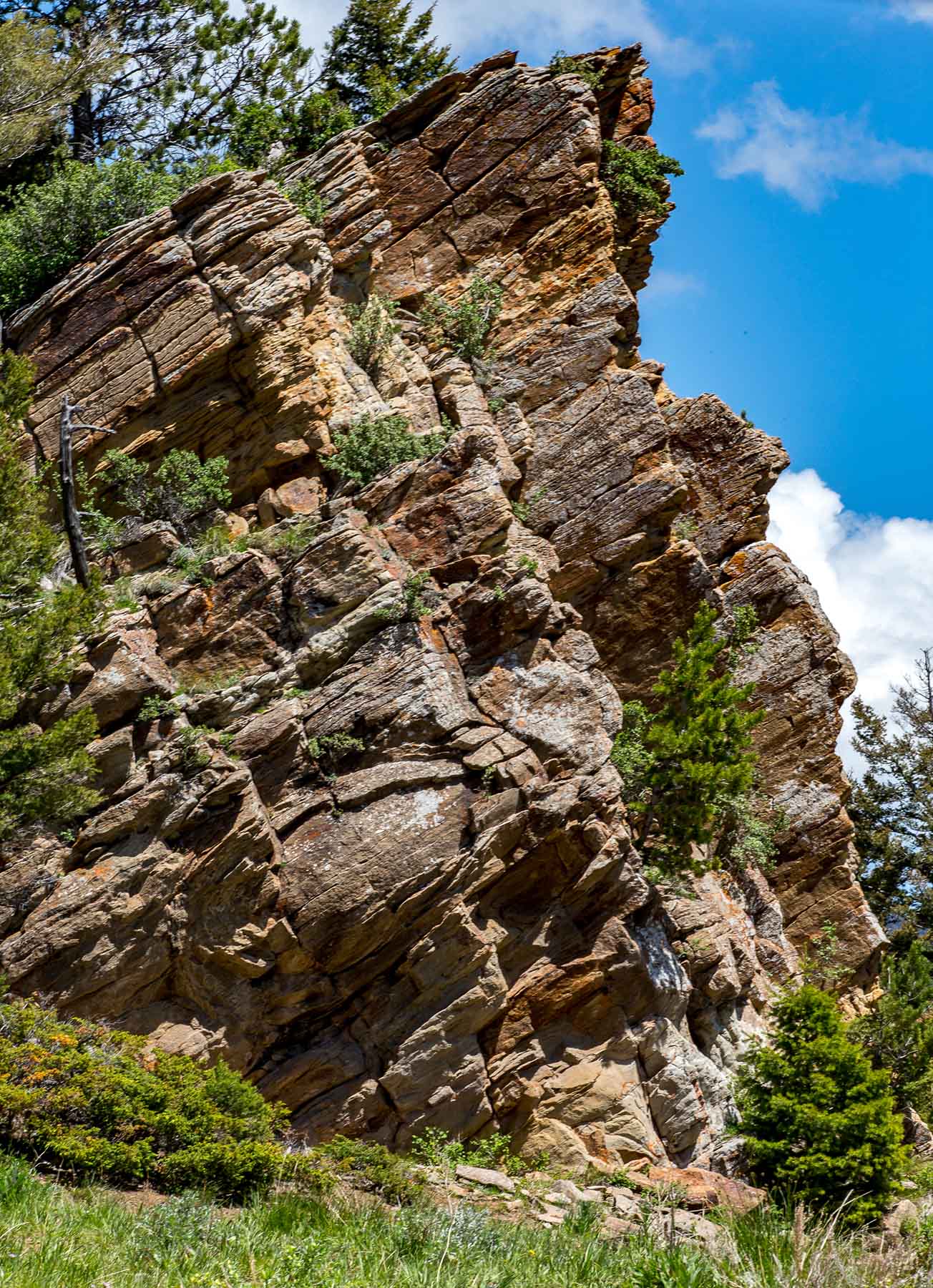 Miner Creek Ranch property picture 46 of 54